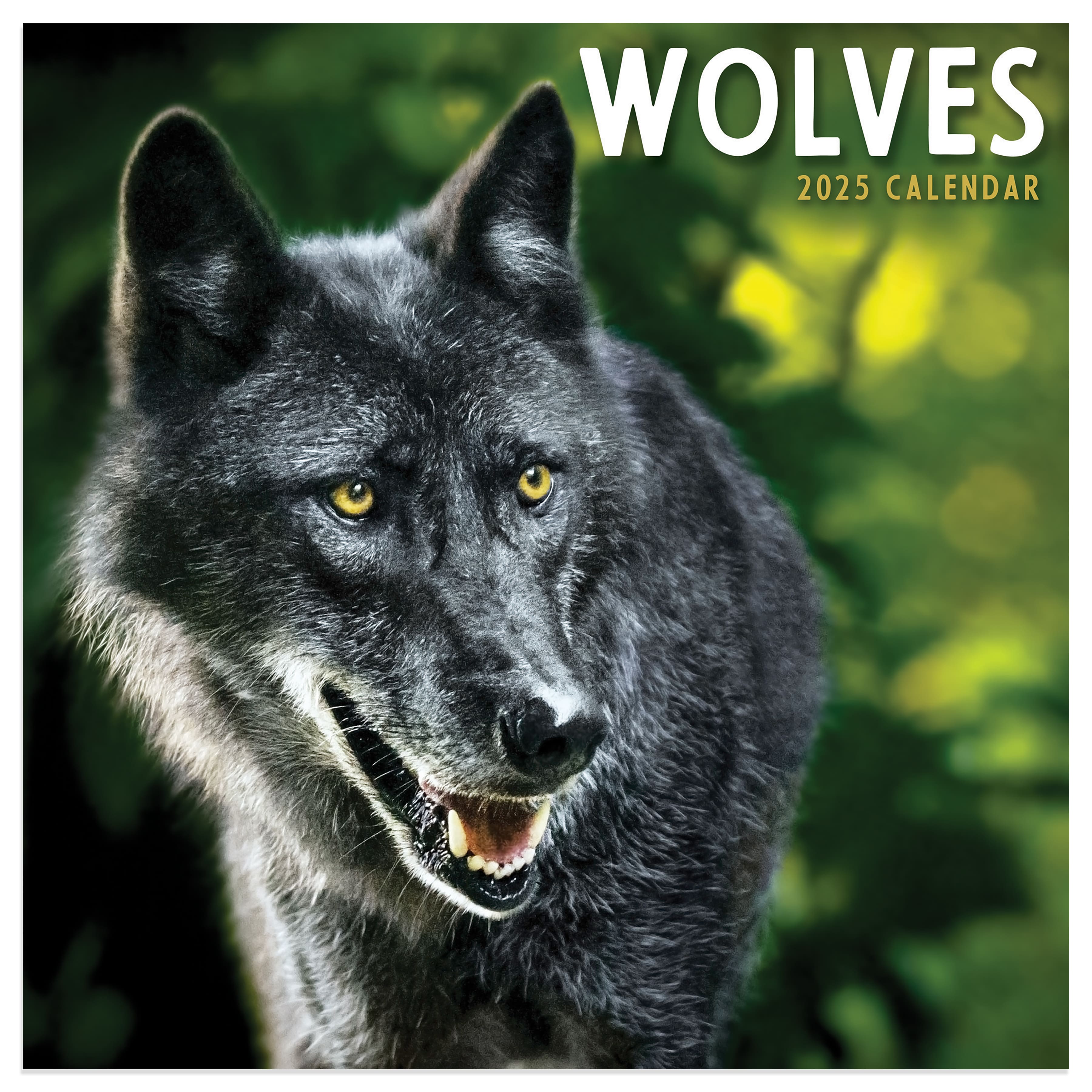 TF Publishing 2025 Wolves Mini Calendar Michaels