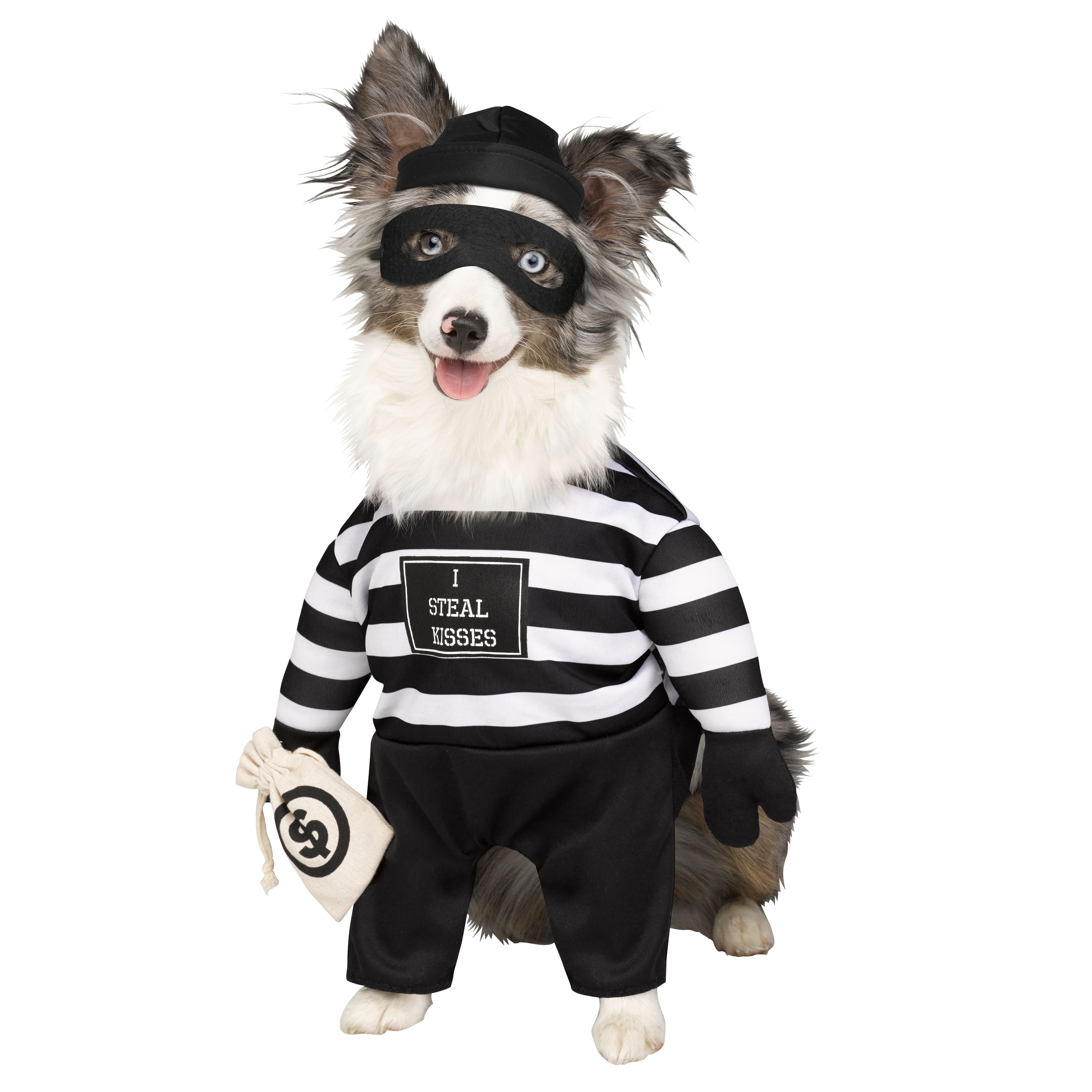 Robber Dog Costume by Ashland&#xAE;