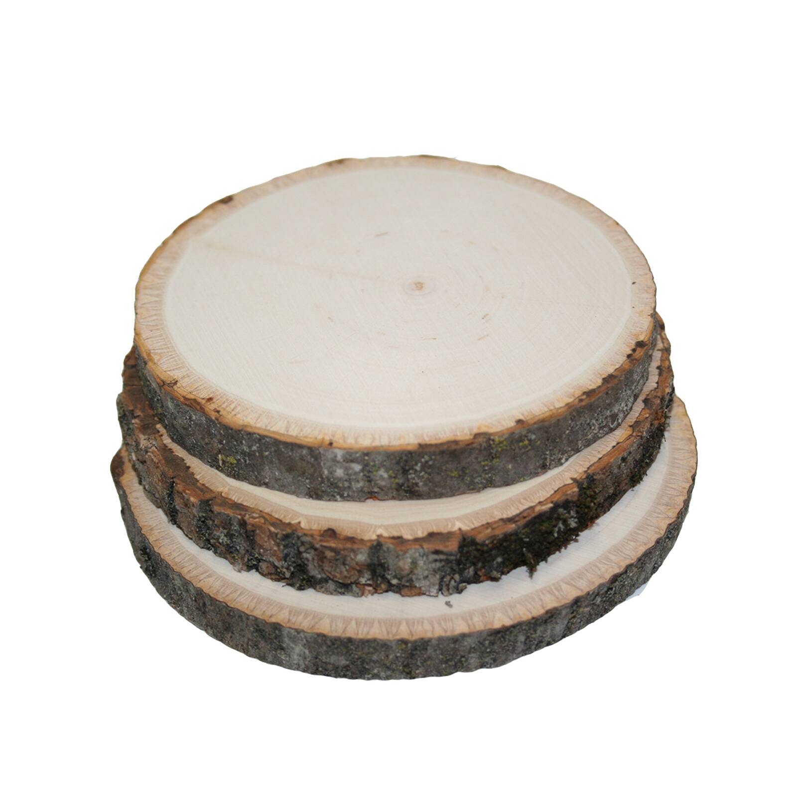 Wilson&#xAE; Enterprises 4&#x22; Basswood Coasters, 8ct.