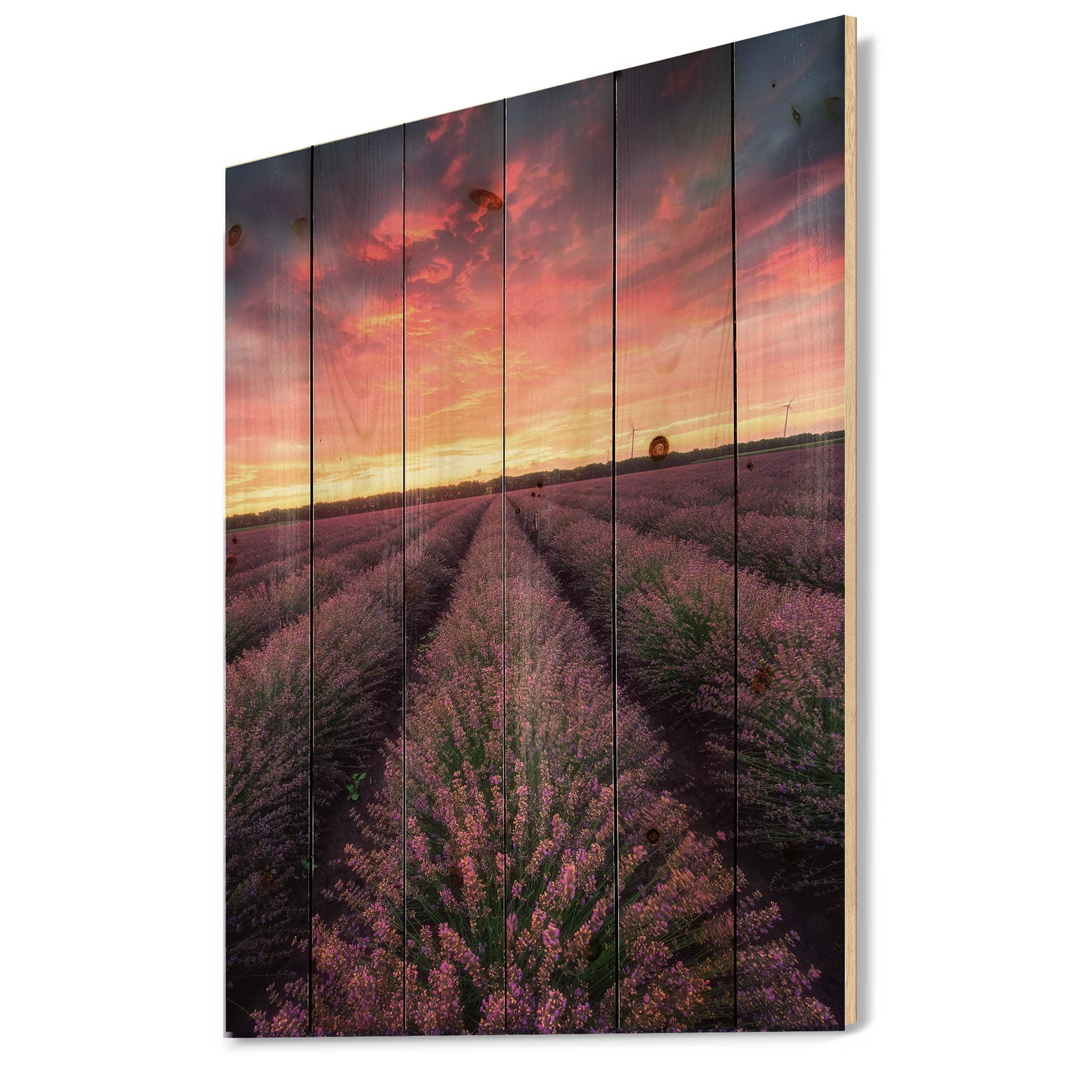 Designart - Sunrise &#x26; Dramatic Clouds Over Lavender Field XIV - Farmhouse Print on Natural Pine Wood