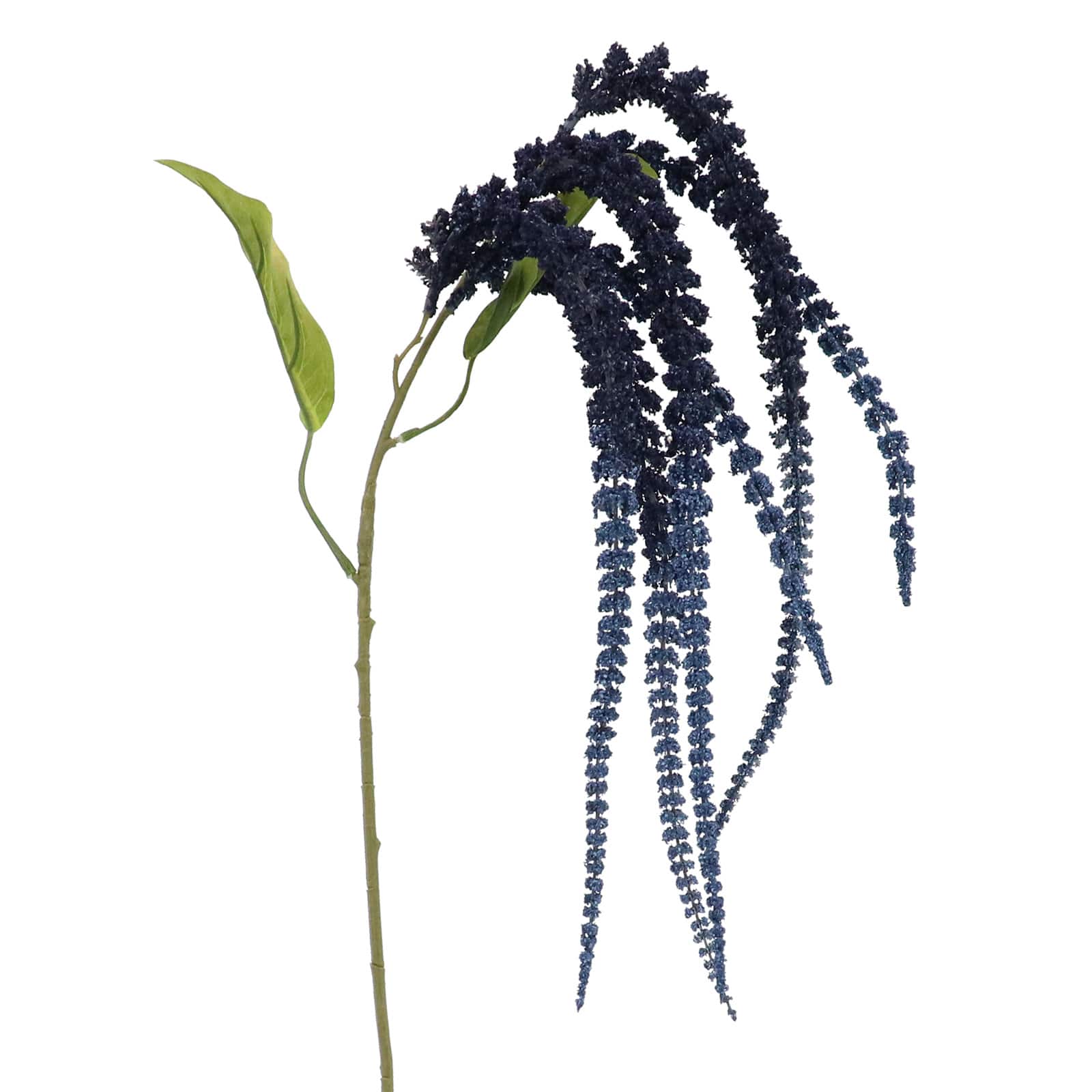 Dark Blue Amaranthus Stem by Ashland&#xAE;