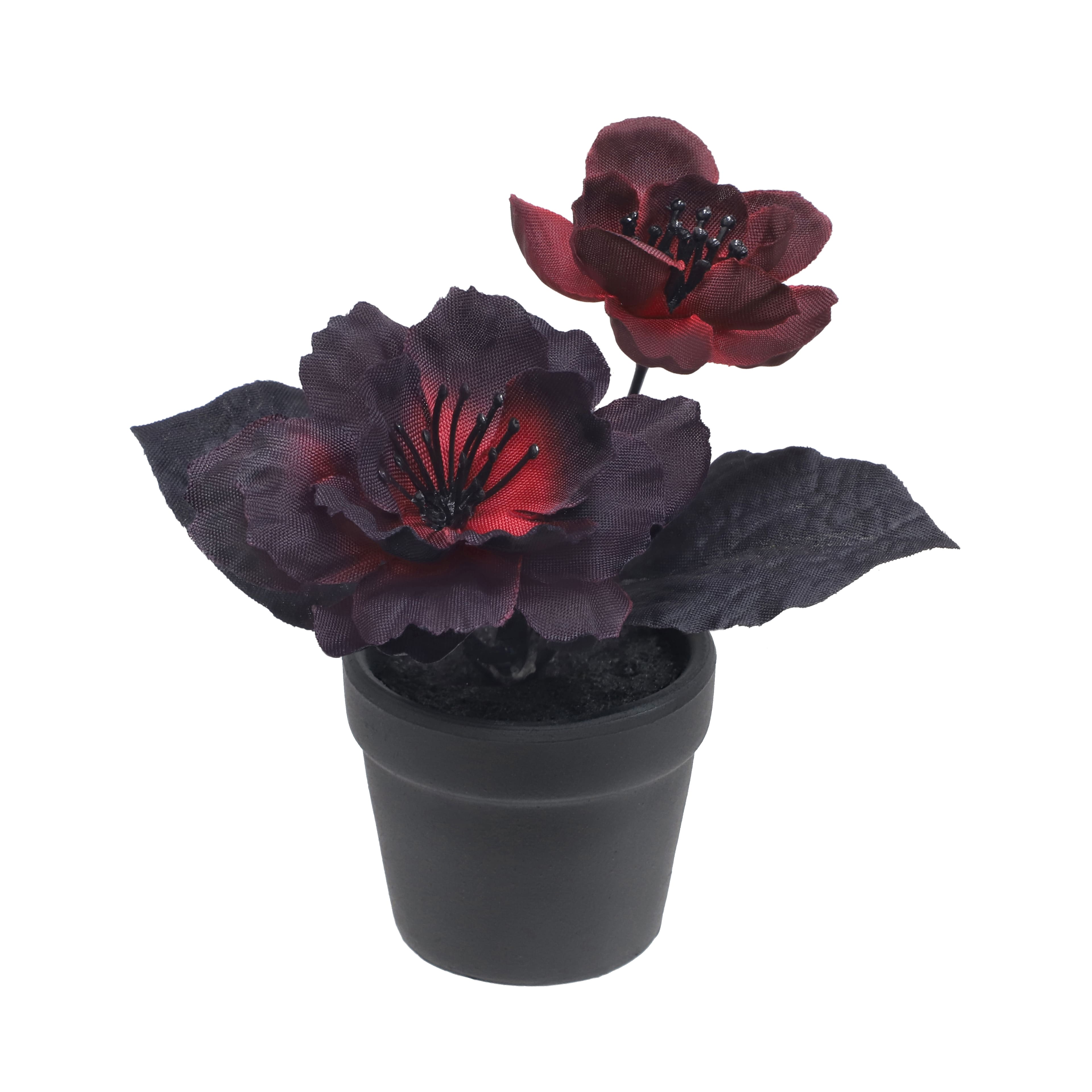 Assorted Mini Potted Floral Arrangement by Ashland&#xAE;, 1pc.