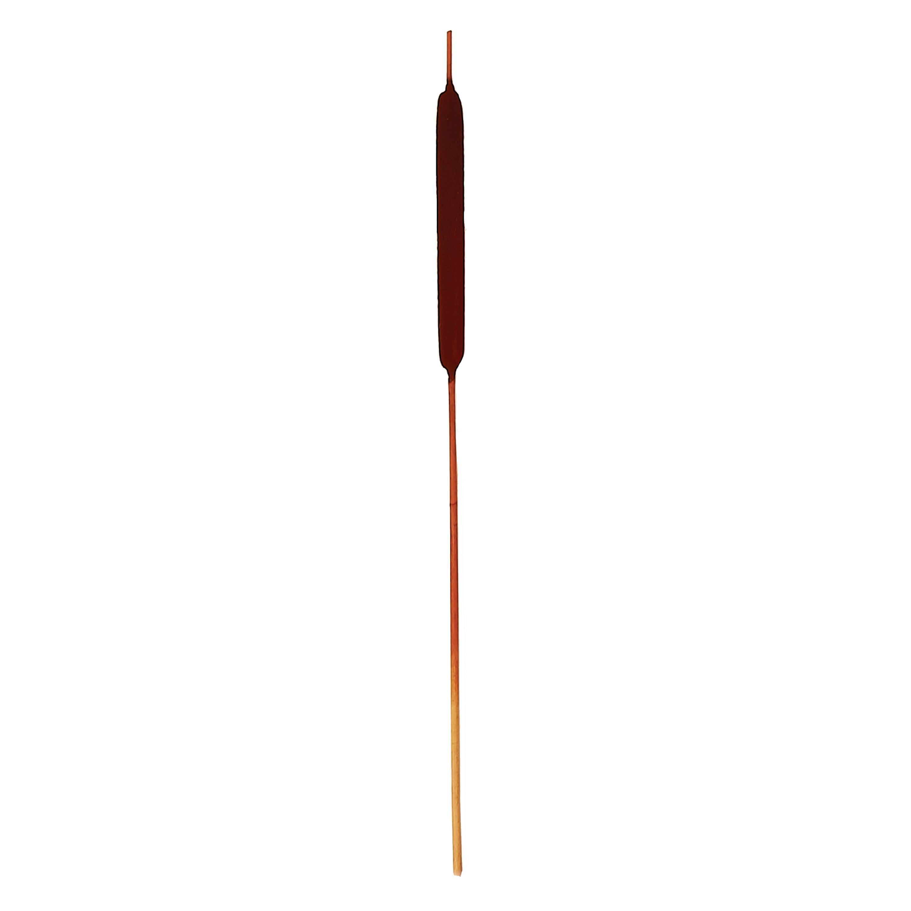 30" Dark Brown Large Bullrush Cattail Stems, 40ct.