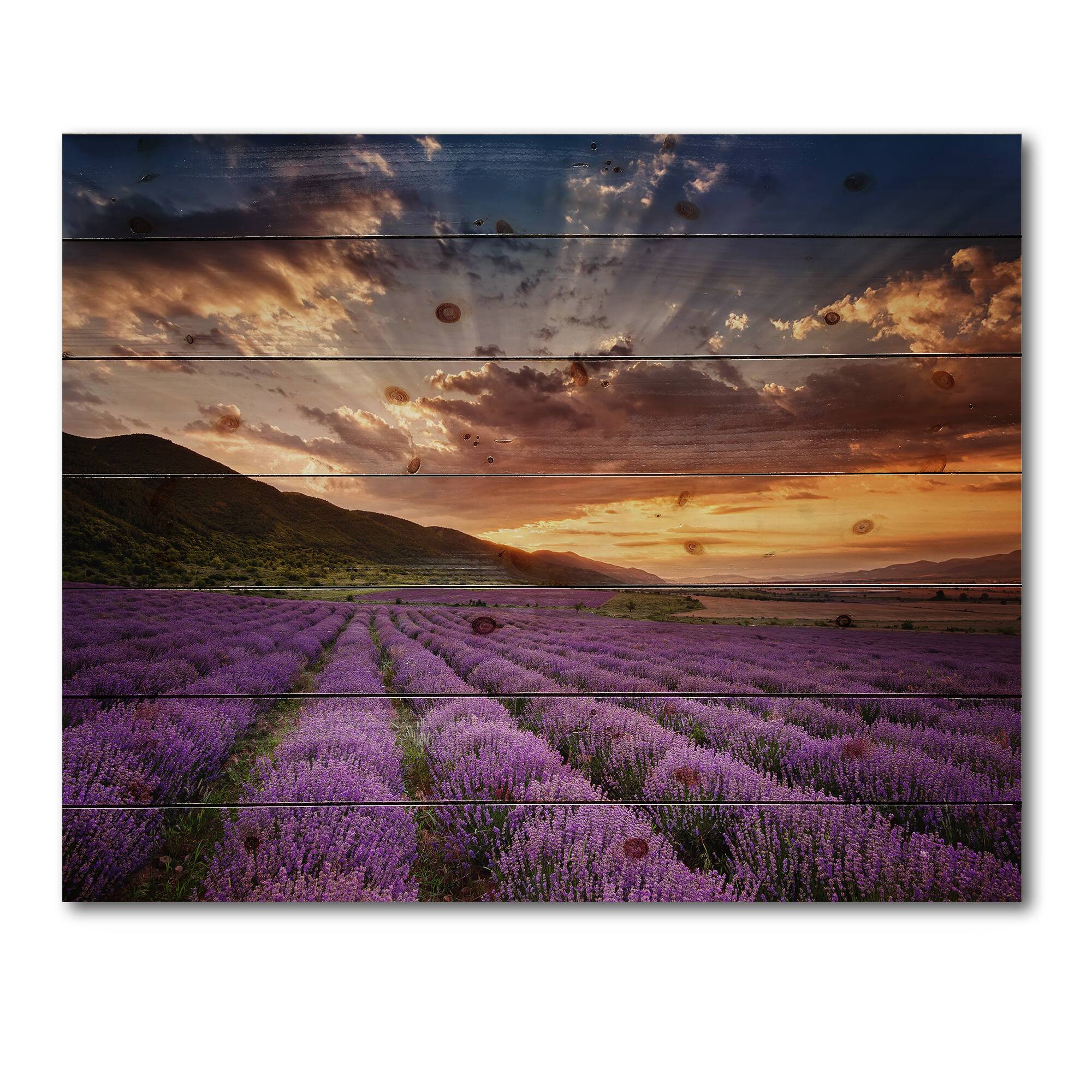 Designart - Sunrise &#x26; Dramatic Clouds Over Lavender Field X - Farmhouse Print on Natural Pine Wood