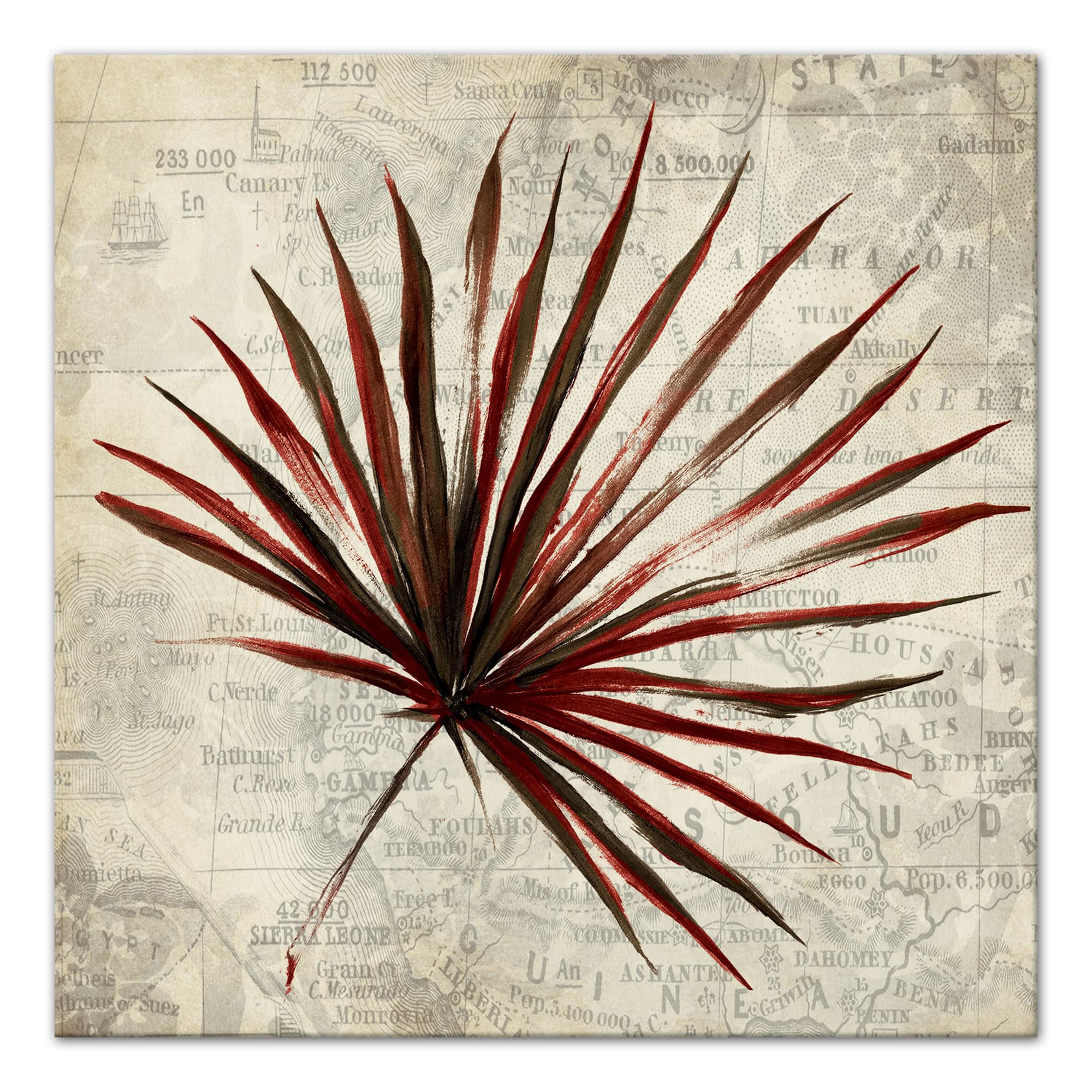 Fan Palm 16" x 16" Canvas Wall Art