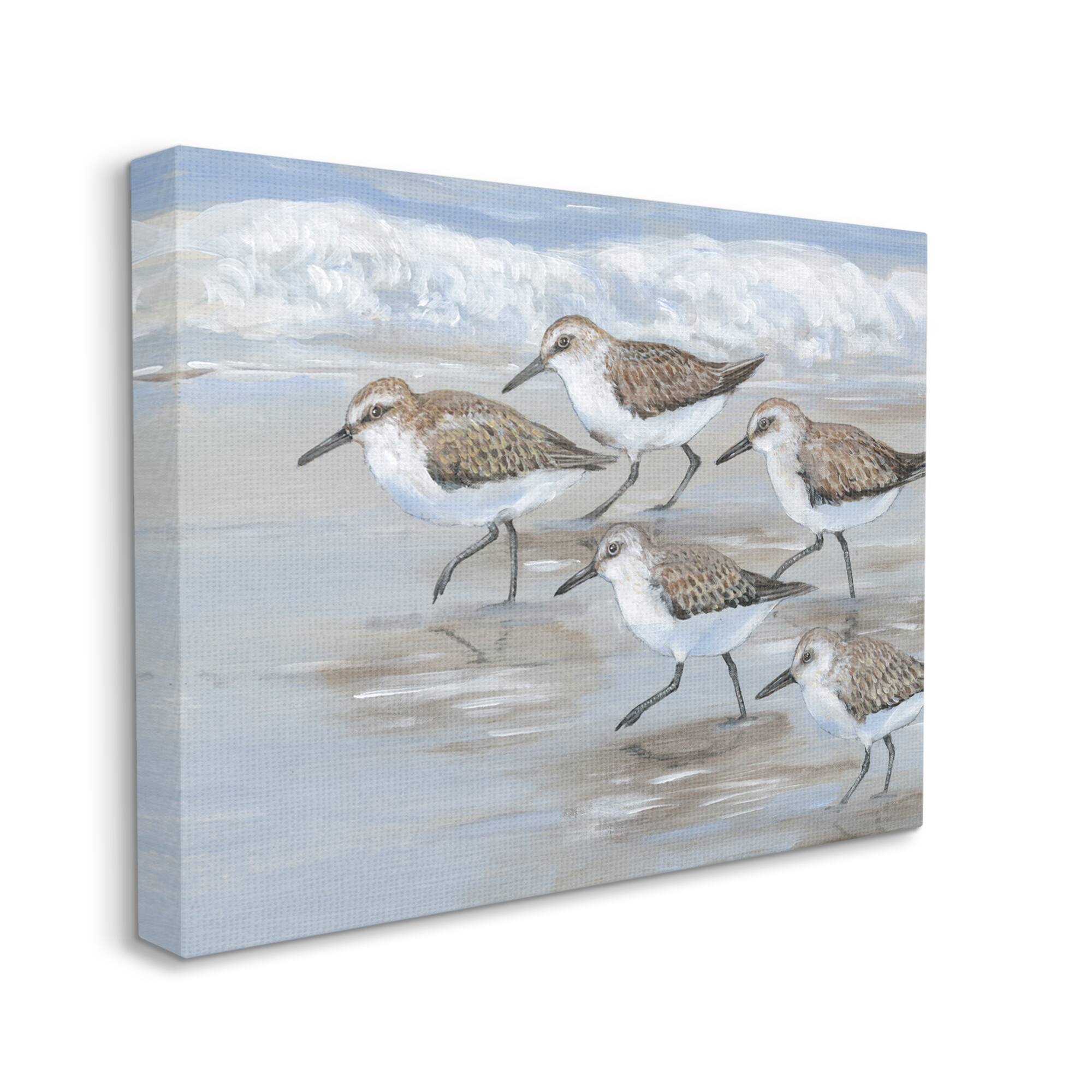 Stupell Industries Sandpiper Bird Flock Marching Beach Coast Waves Canvas Wall Art