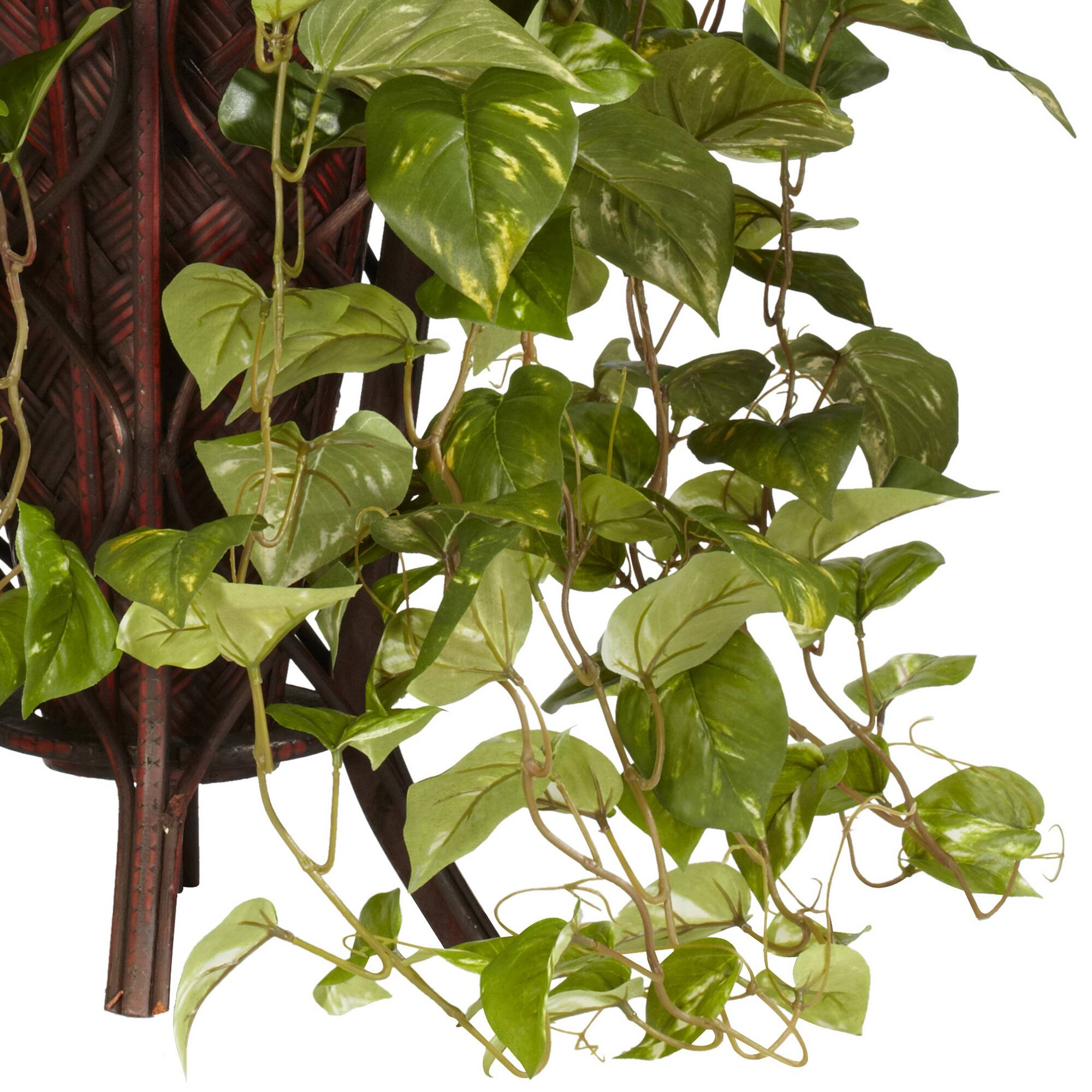 3ft. Vining Mixed Greens Plant in Decorative Stand