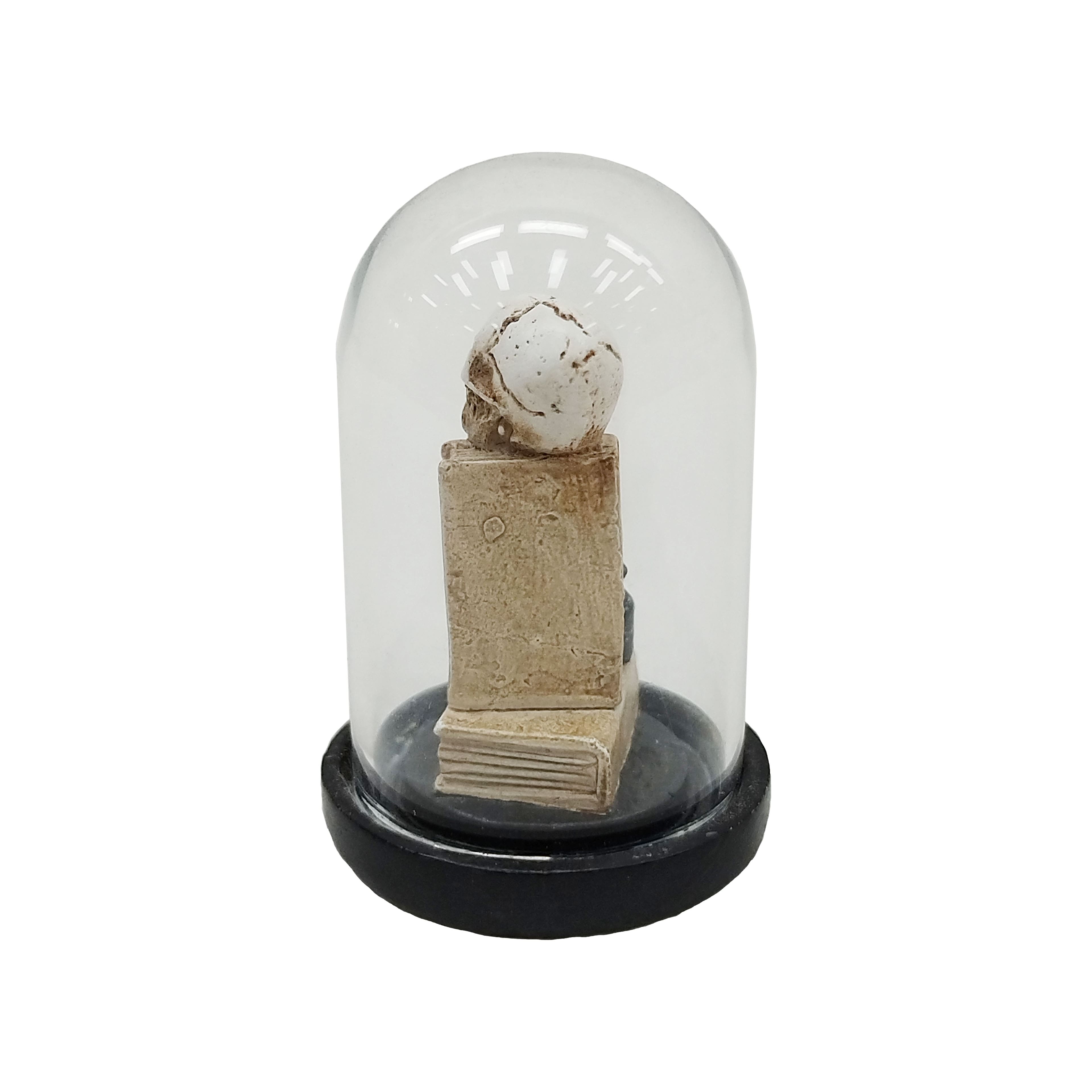 Mini Skull &#x26; Books in Cloche by Ashland&#xAE;