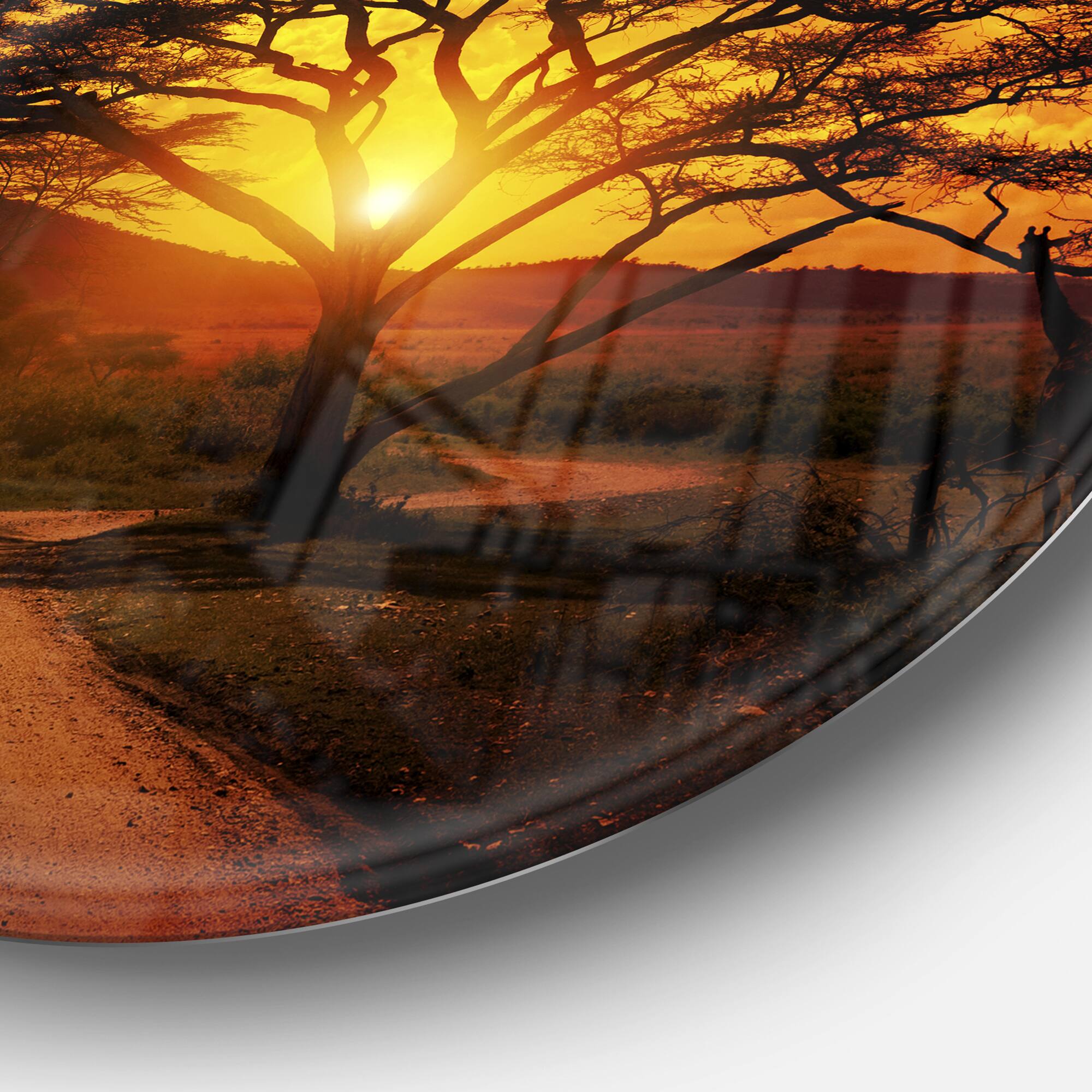 Designart - African Sunset with Lonely Tree&#x27; African Landscape Metal Circle Wall Art