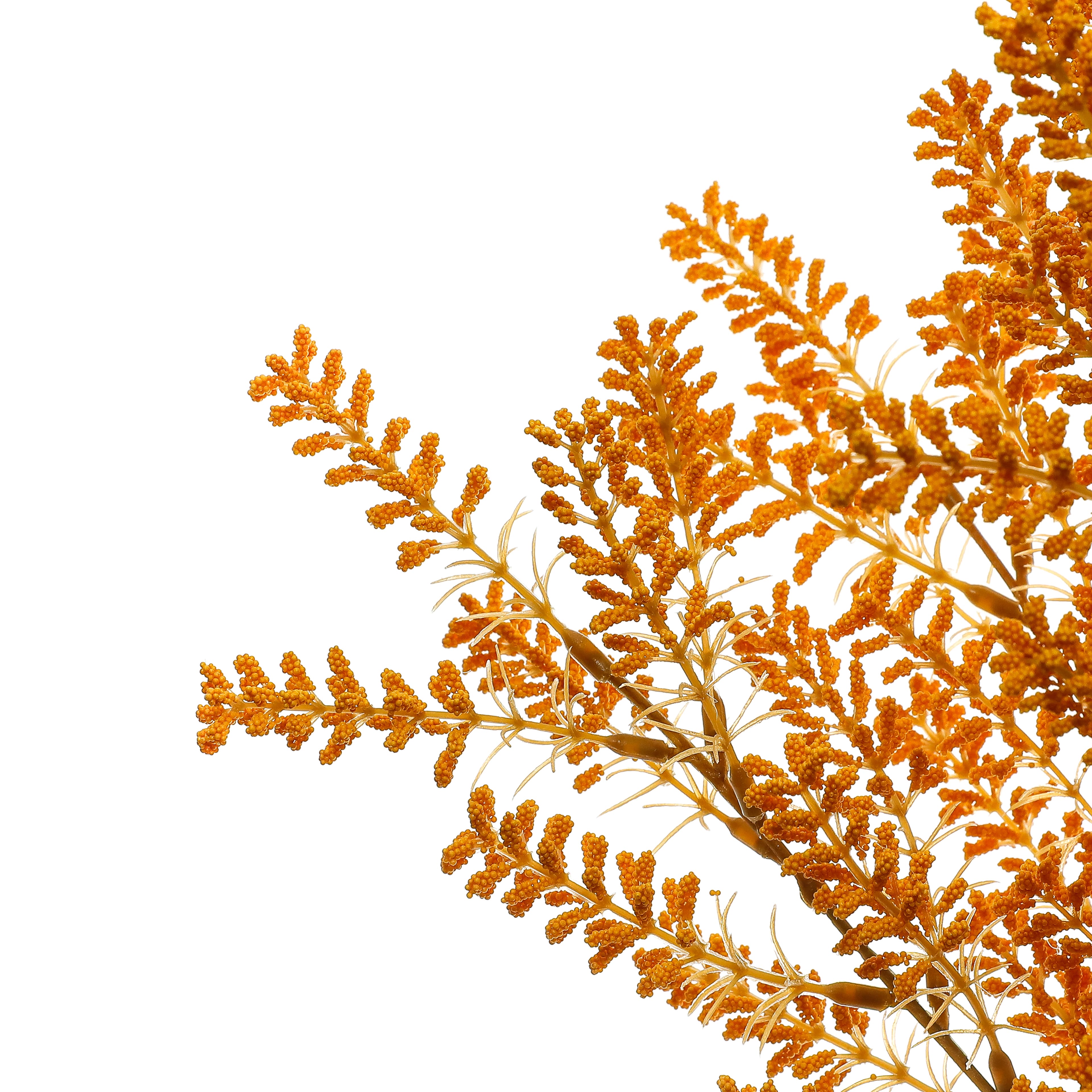 19&#x22; Berry Bush by Ashland&#xAE;