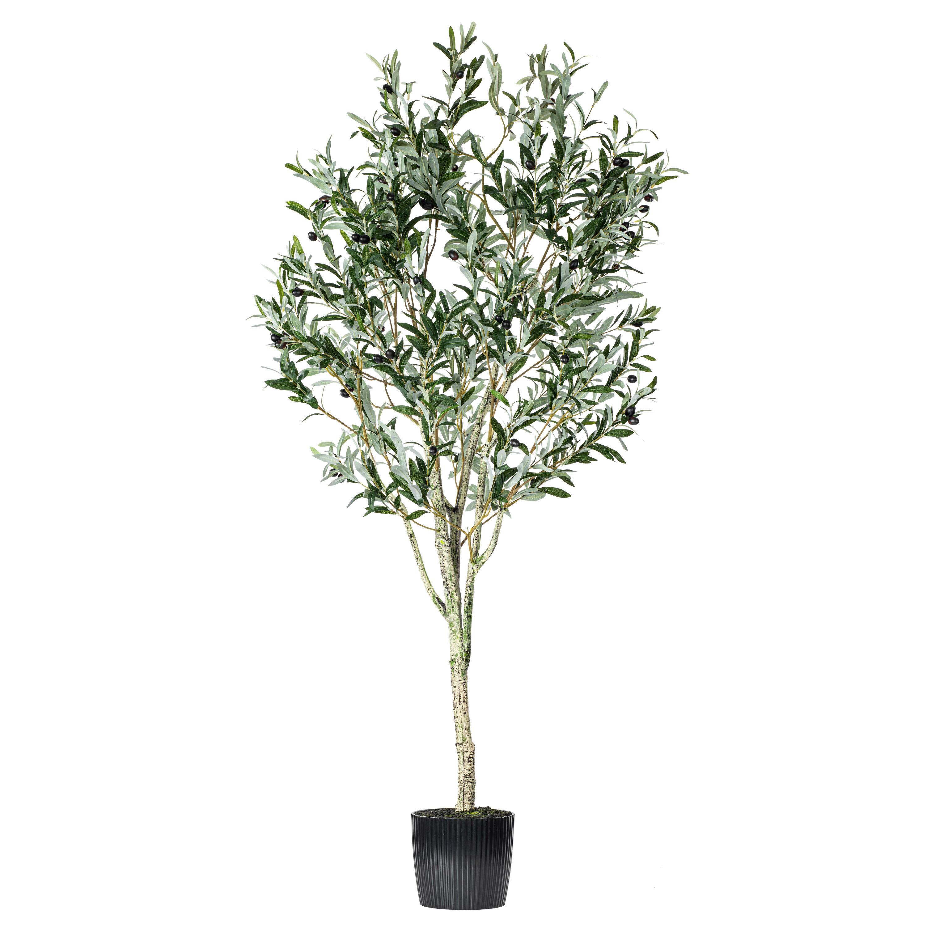 6ft. Potted Artificial Green Olive Tree