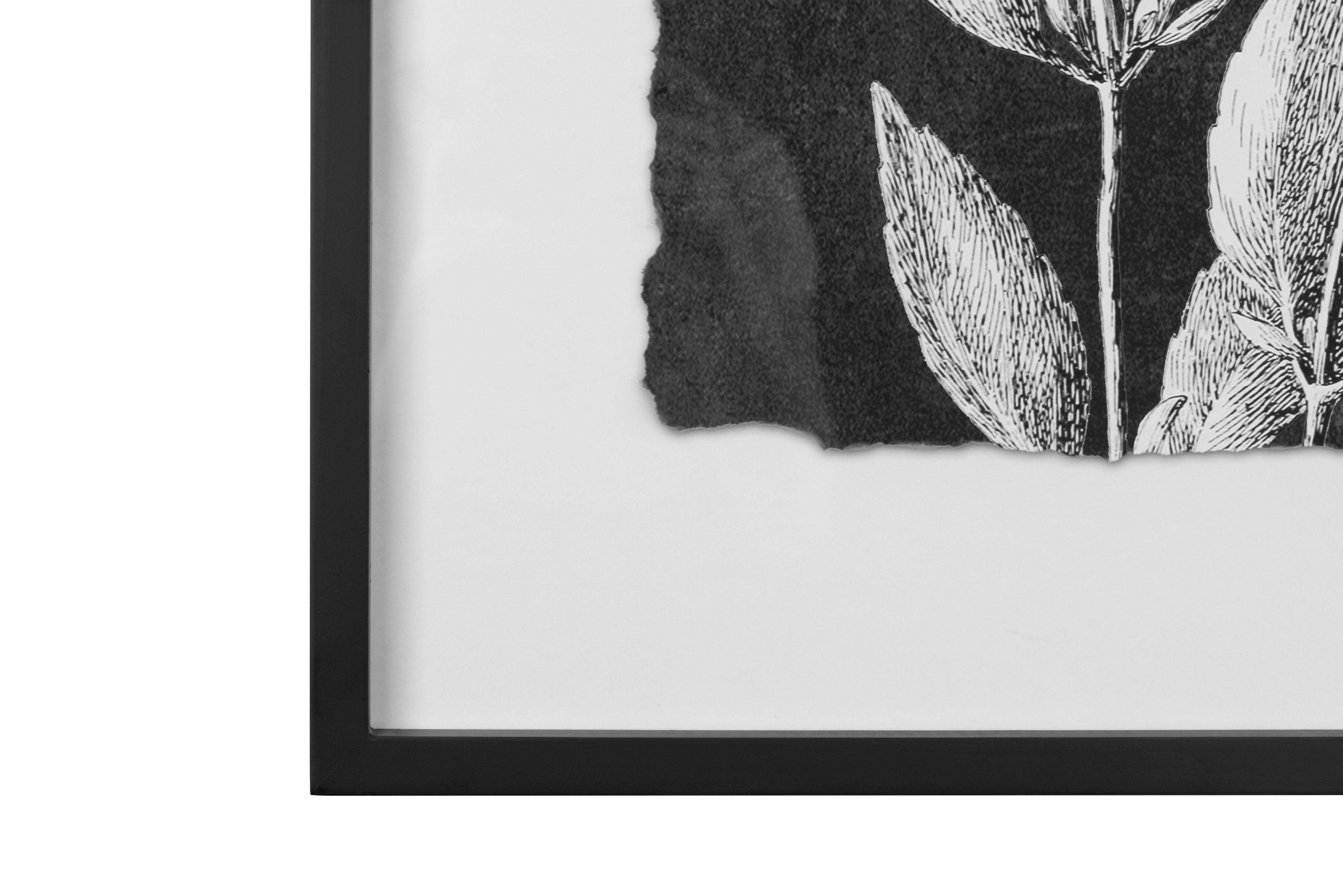 Hello Honey® Black and White Botanical Print Wall Décor with Glass and Wood Frame Set