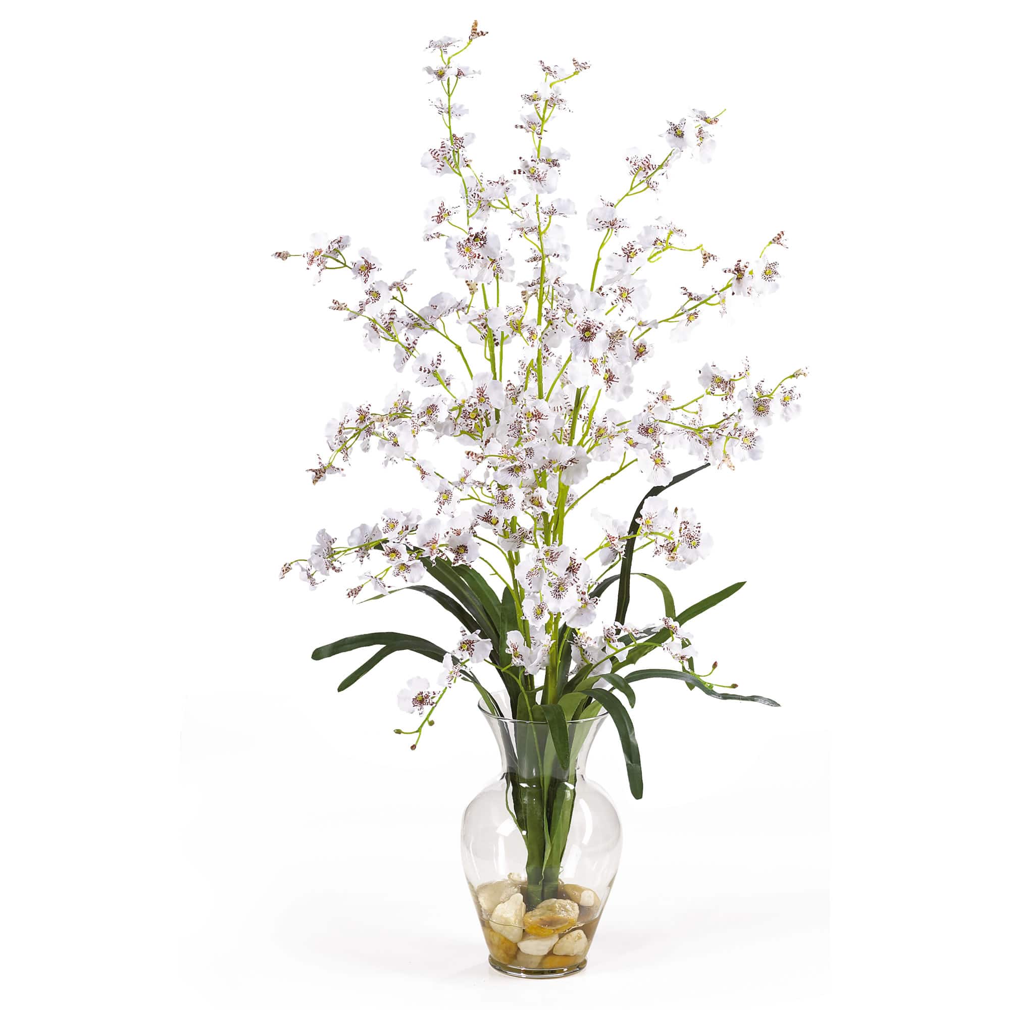 31" Dancing Lady Orchid Flower Arrangement in Glass Vase