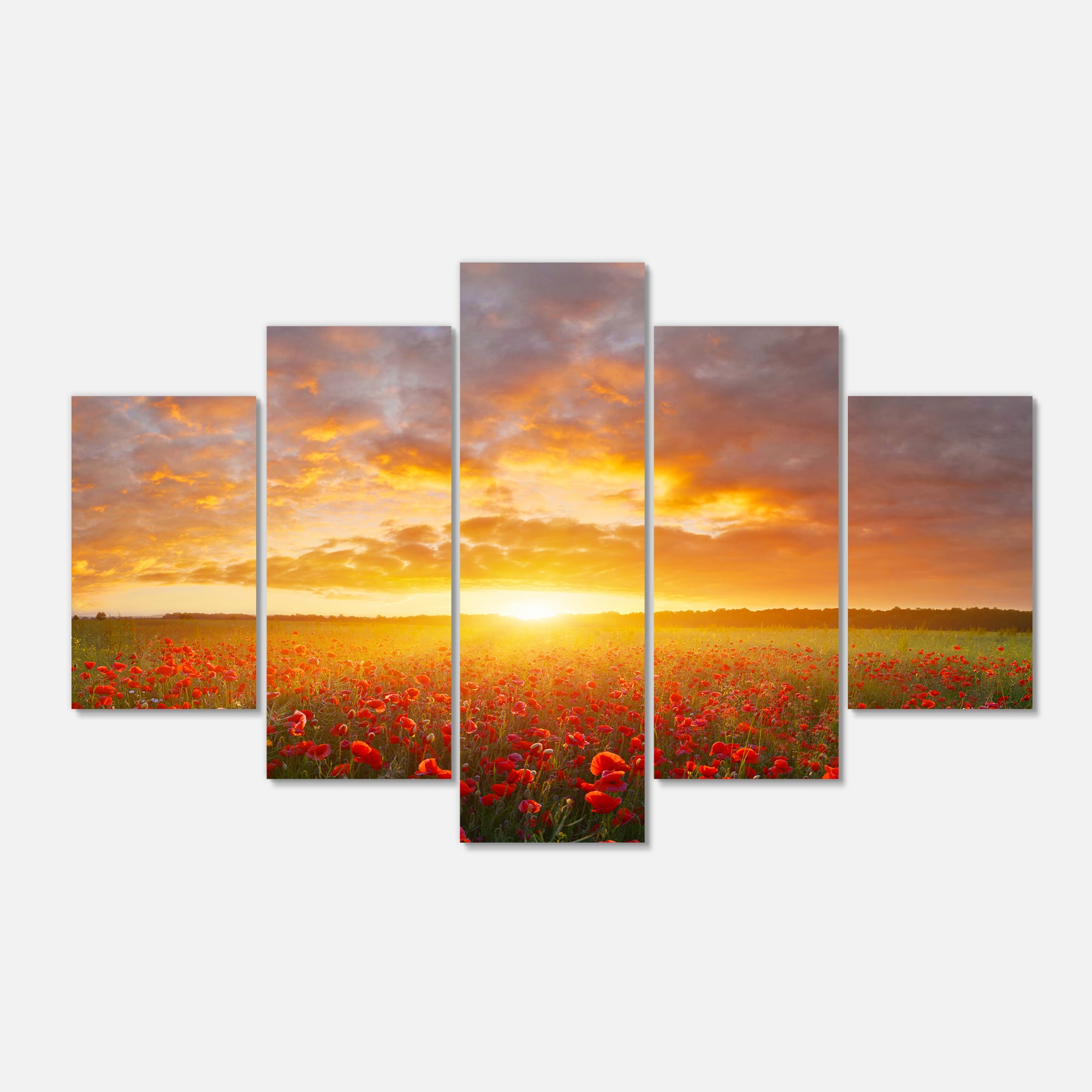 Designart - Poppy Field under Bright Sunset - Landscape Canvas Art Print