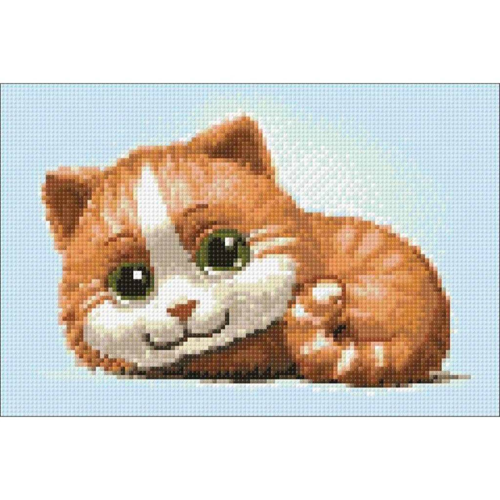 Wizardi Ginger Cat Diamond Painting Kit