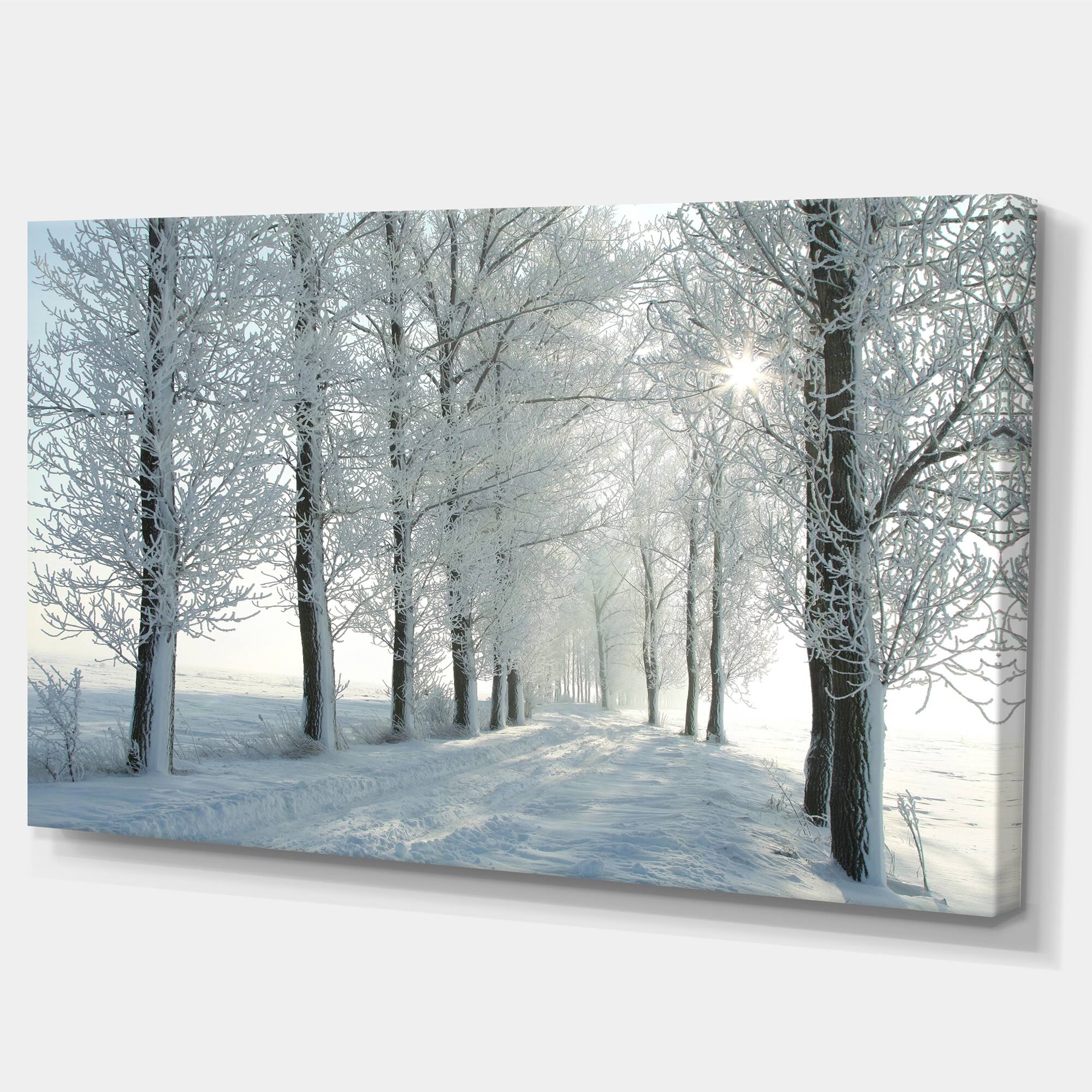 Designart - Winter Trees Backlit by Morning Sun - Large Forest Canvas Art Print