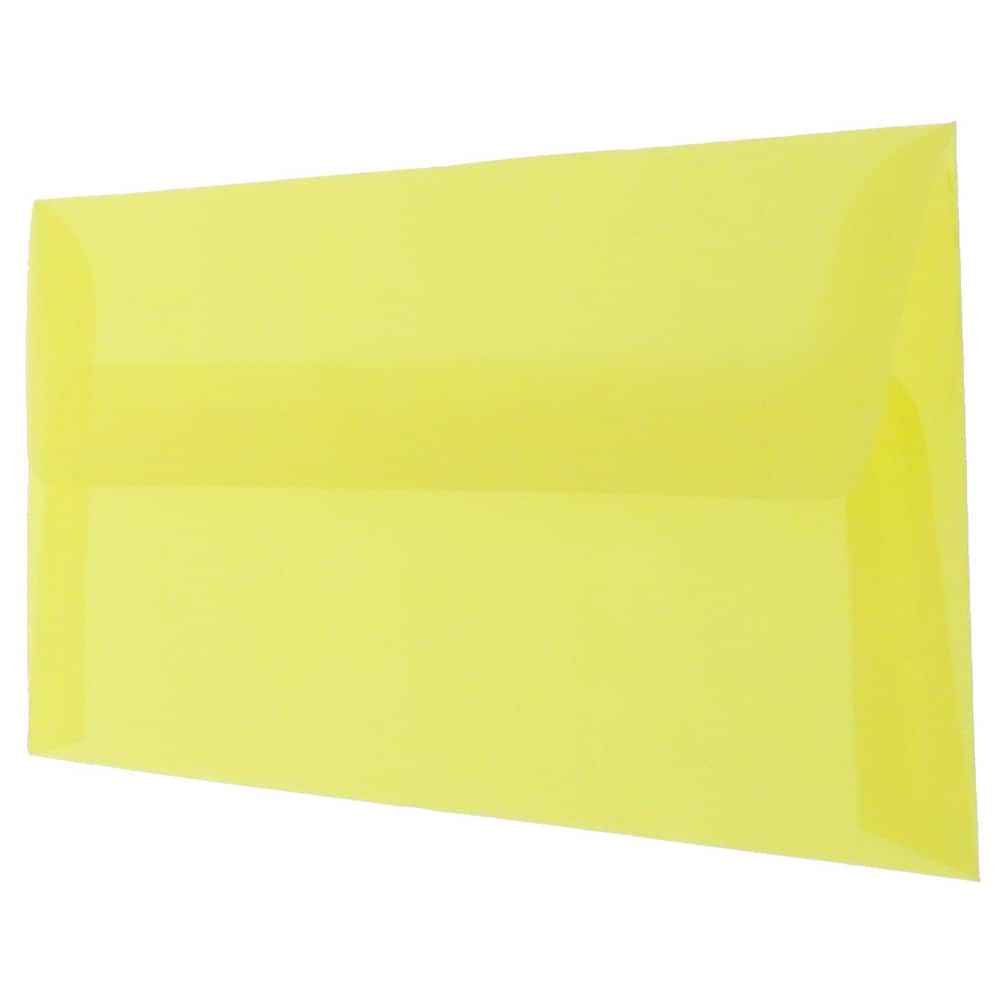 JAM Paper 4.125 x 9.5 Business Translucent Vellum Envelopes