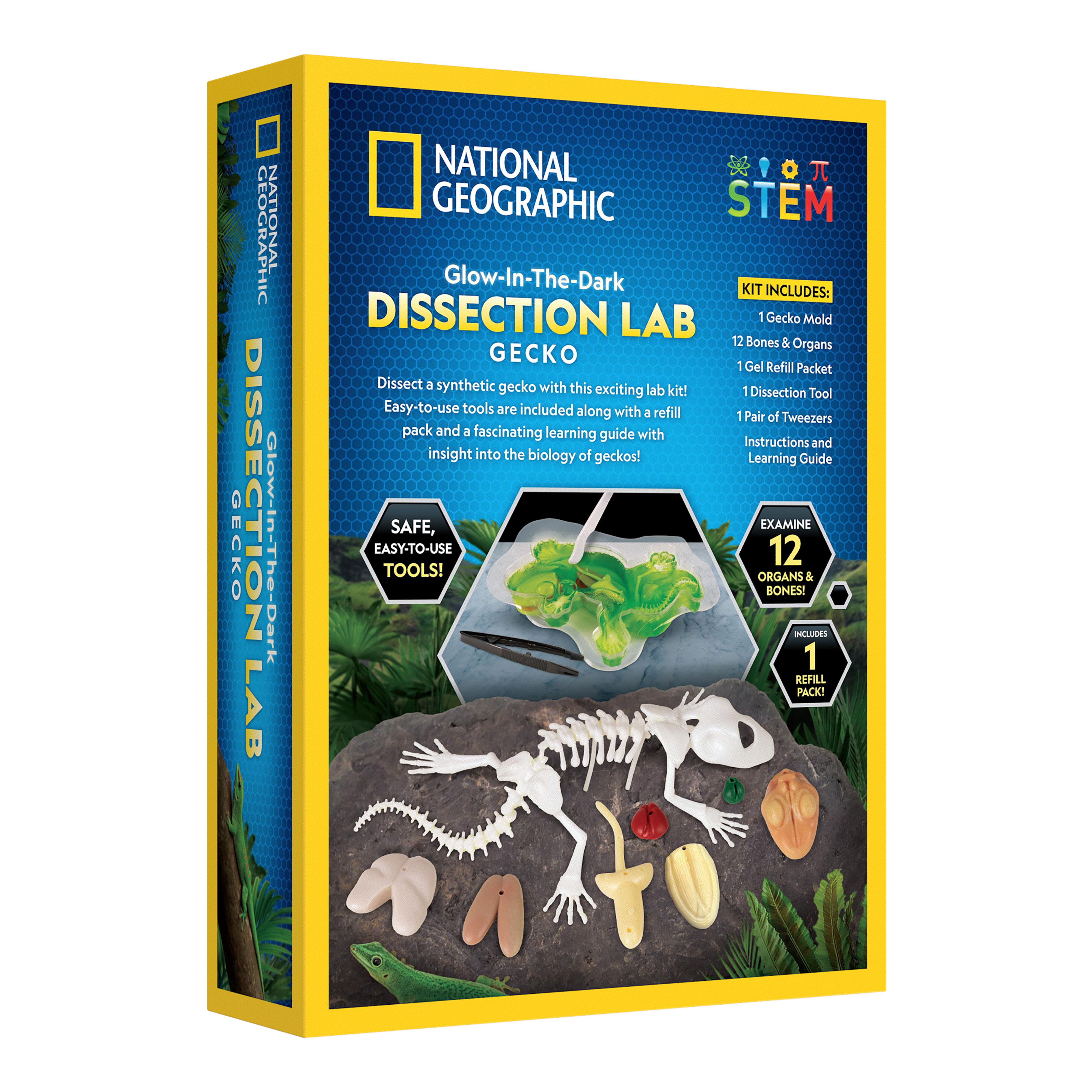 National Geographic&#x2122; Glow-in-the-Dark Gecko Dissection Lab