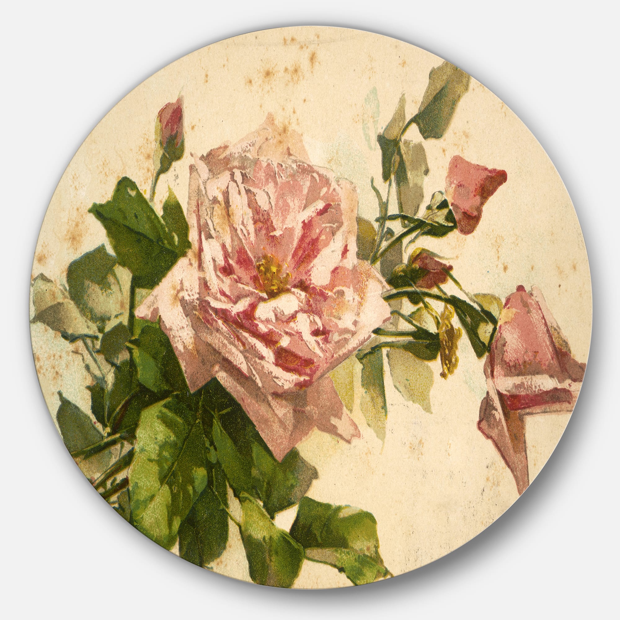 Designart - Pink Flower Illustration&#x27; Disc Floral Metal Artwork