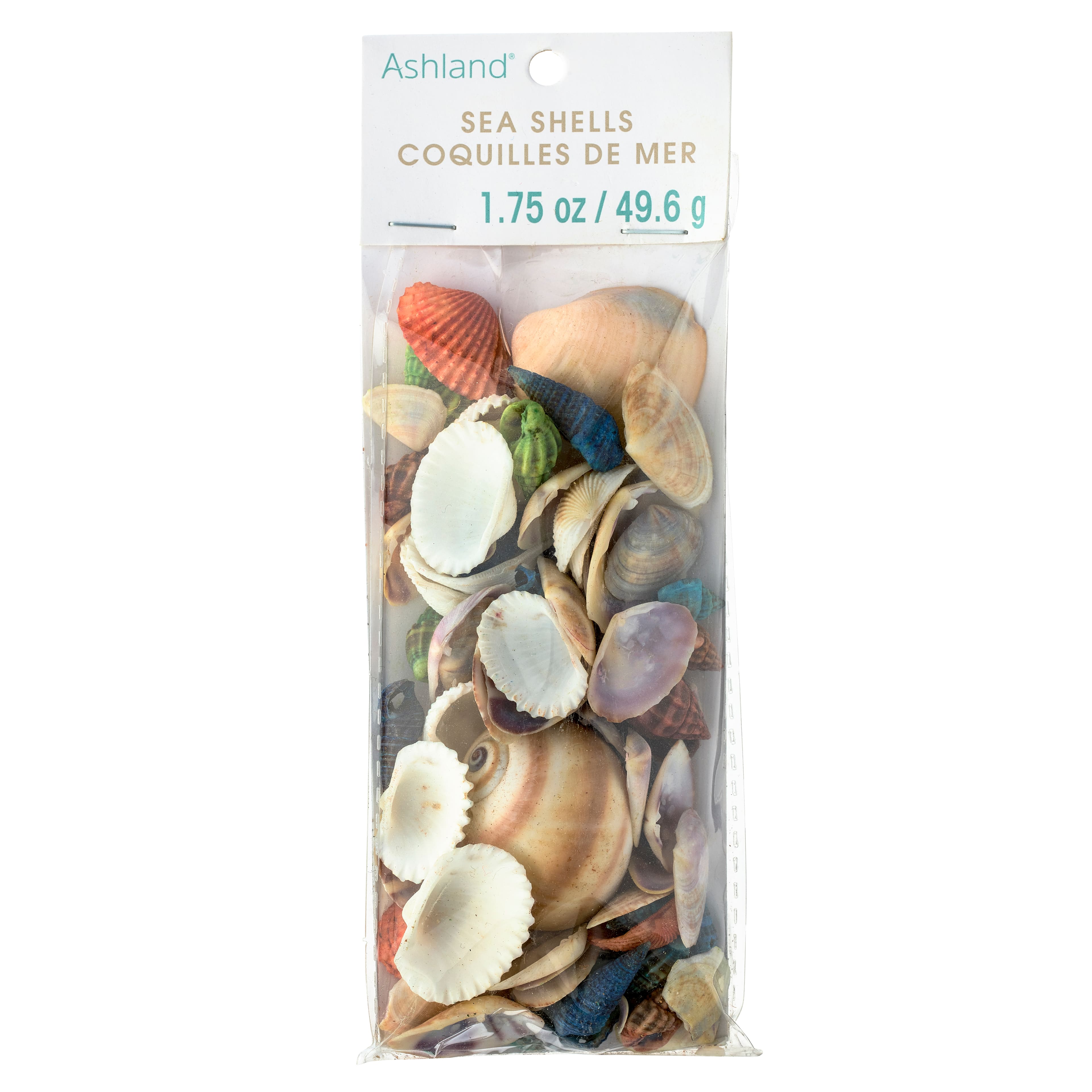 12 Pack: Dyed &#x26; Natural Mixed Sea Shells by Ashland&#xAE;