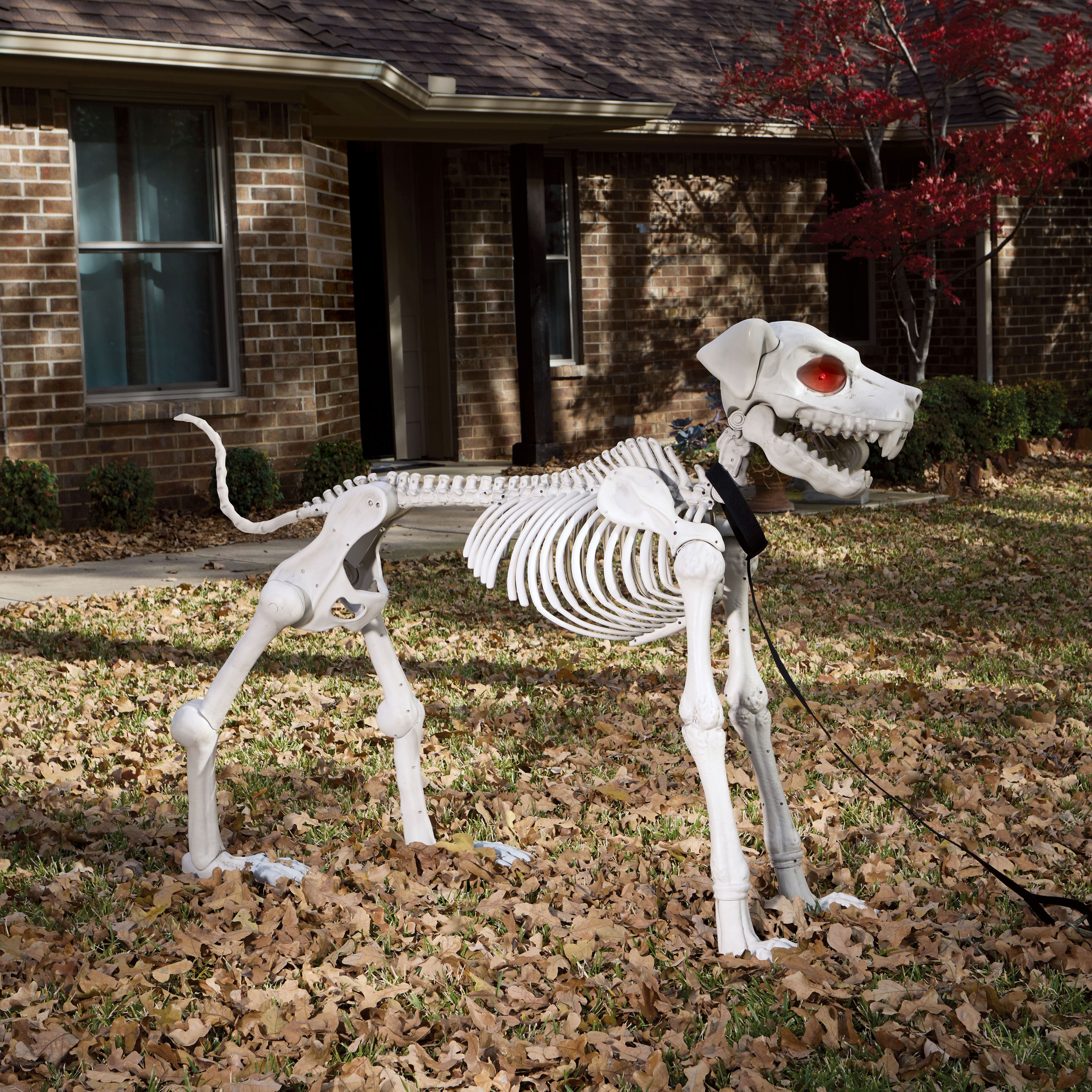 5ft. Poseable Dog Skeleton by Ashland&#xAE;