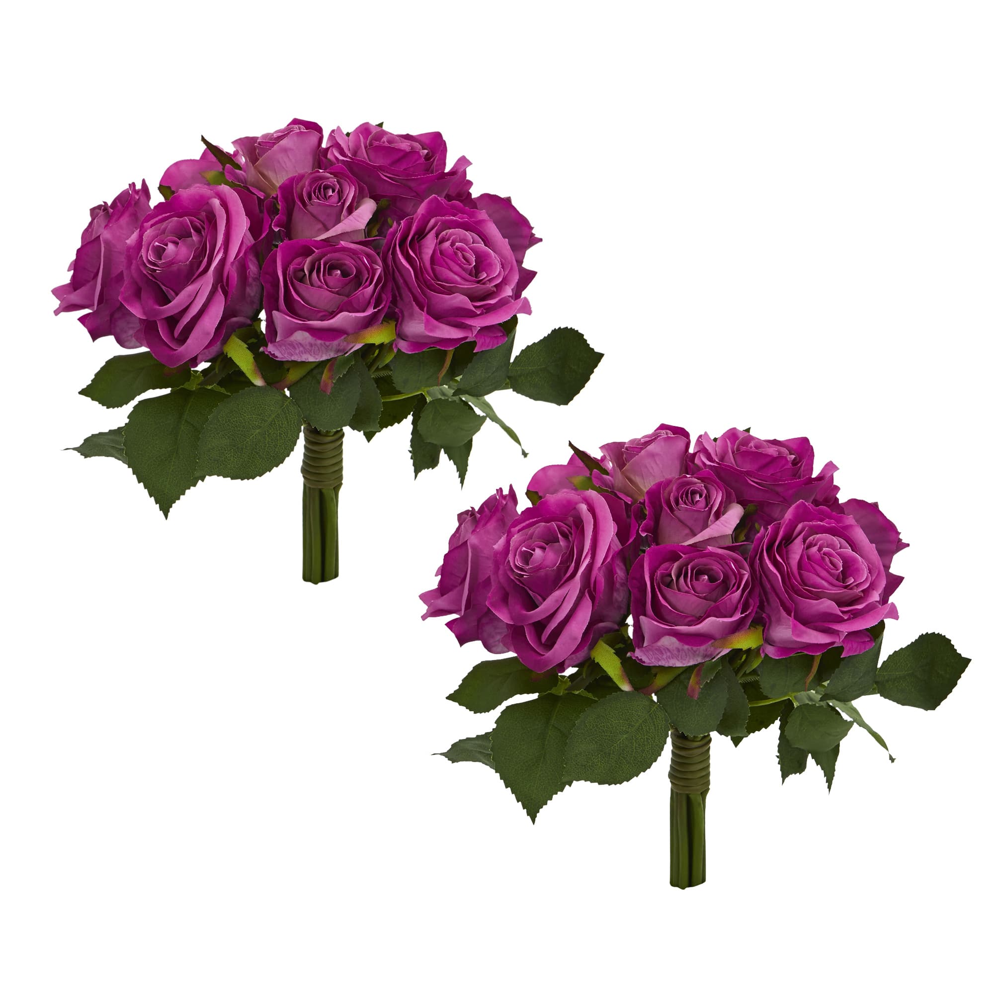 Purple Rose Bush, 2ct.