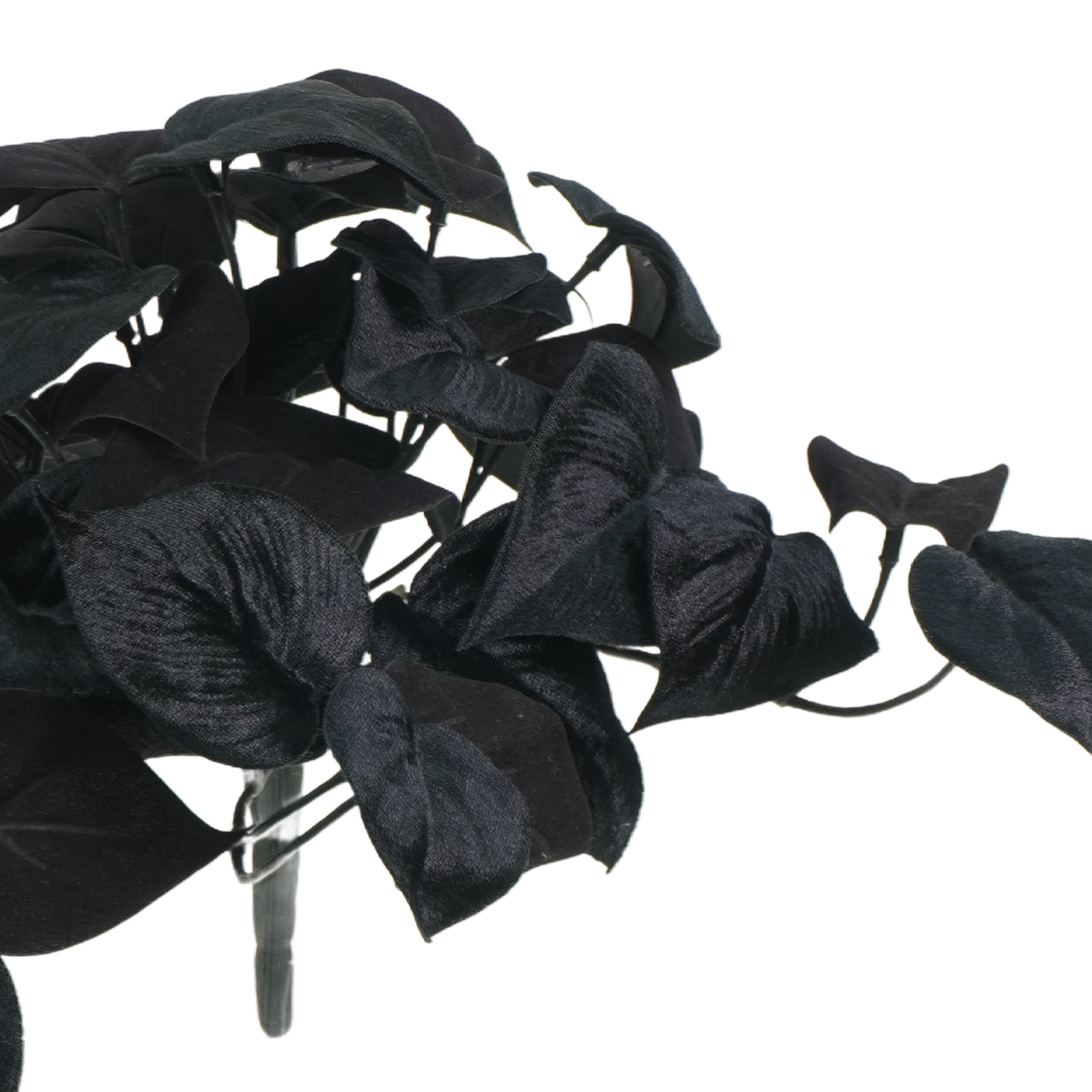 14" Black Philodendron Bush by Ashland®