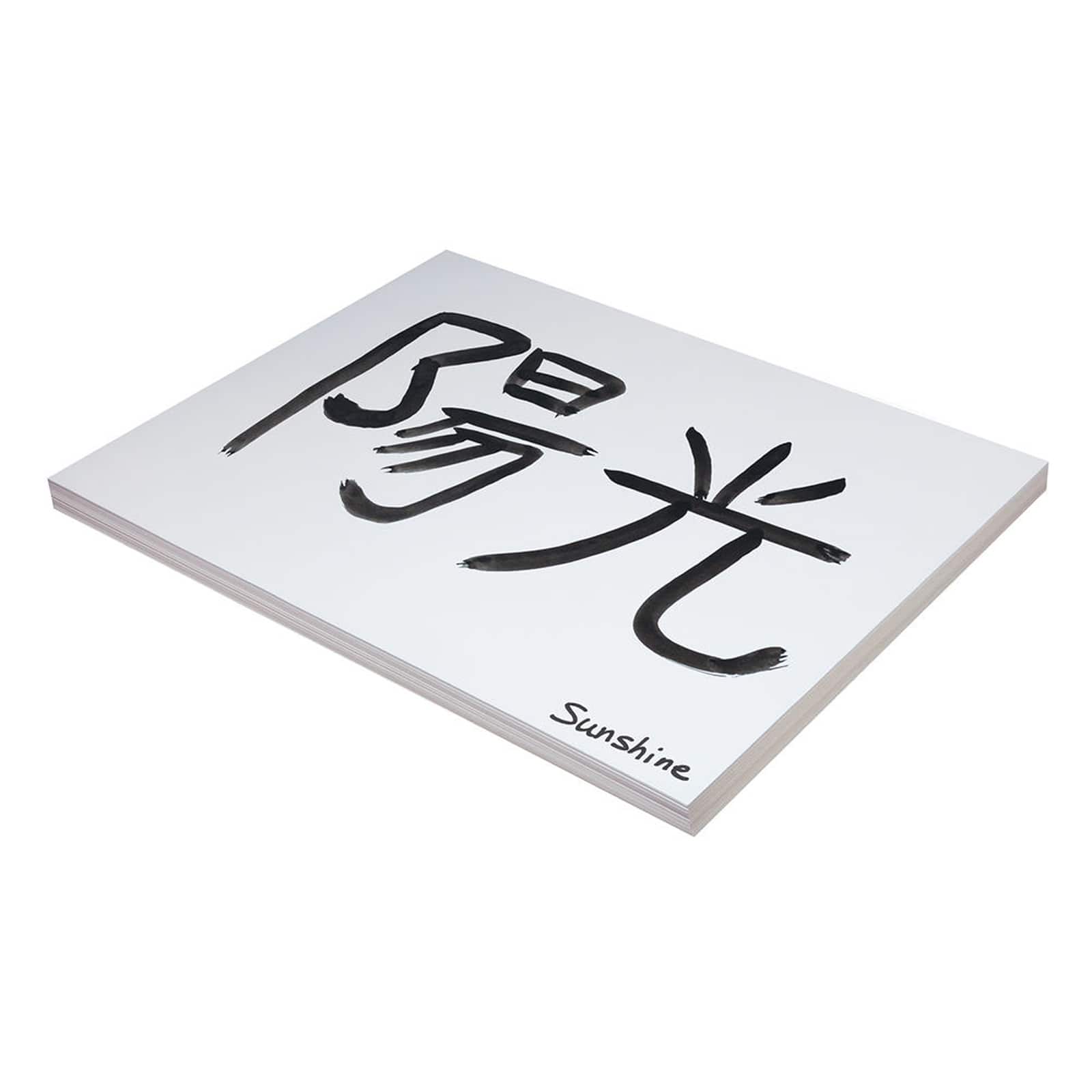 Pacon® 18" x 24" Medium Weight White Tagboard, 100ct.