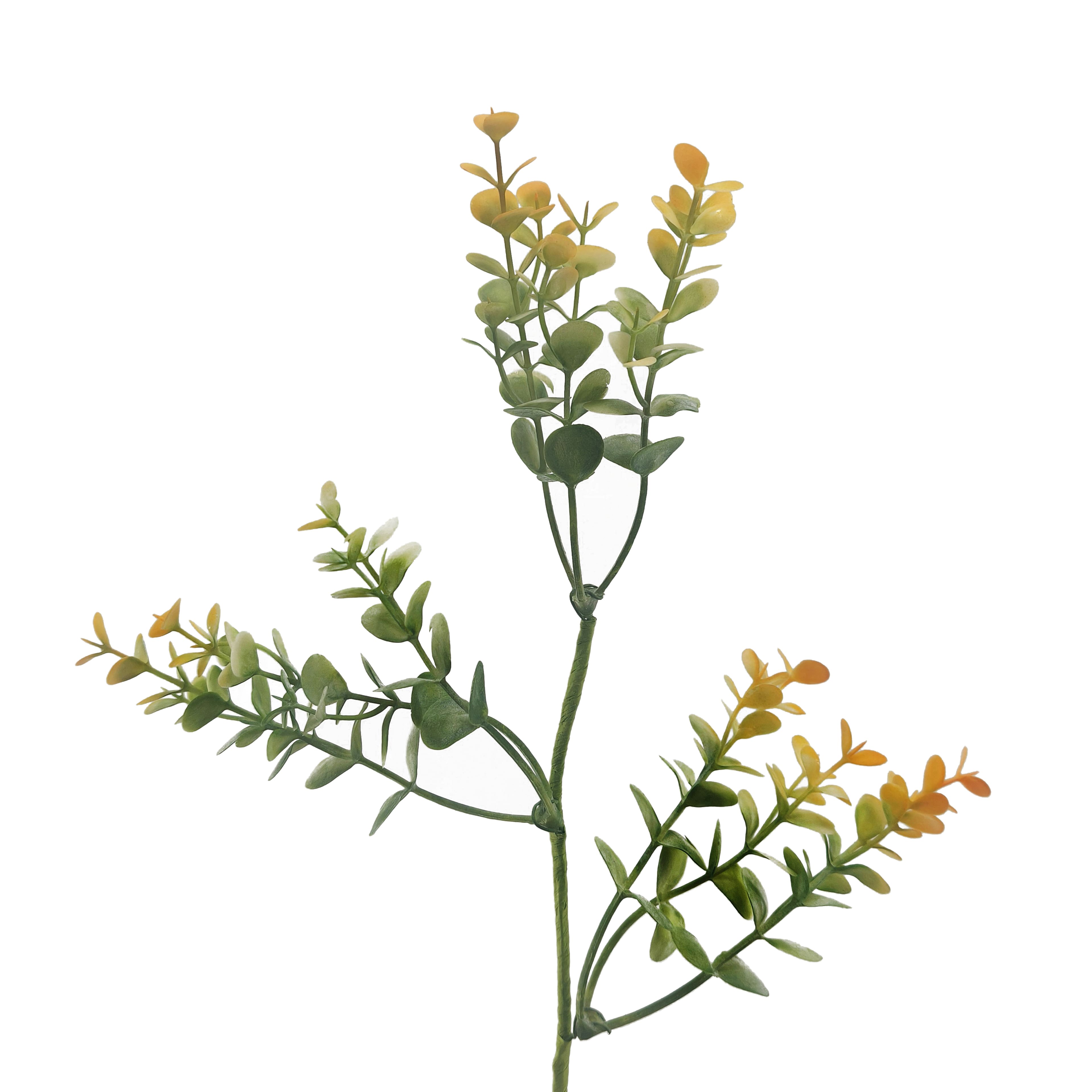 5ft. Orange Eucalyptus Coiled Garland by Ashland®