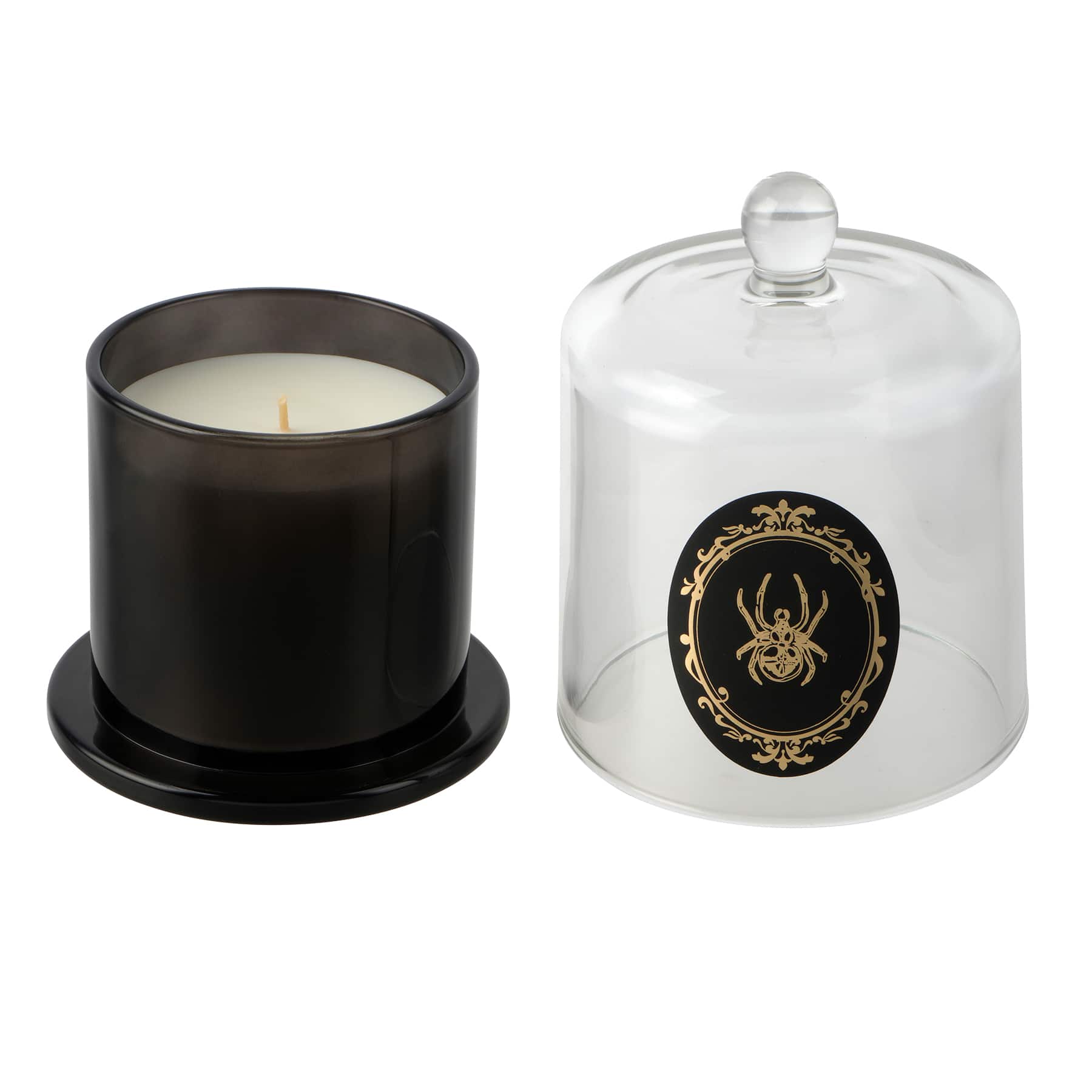 9oz. Spider Cloche Mystic Moonlight Scented Candle by Ashland&#xAE;