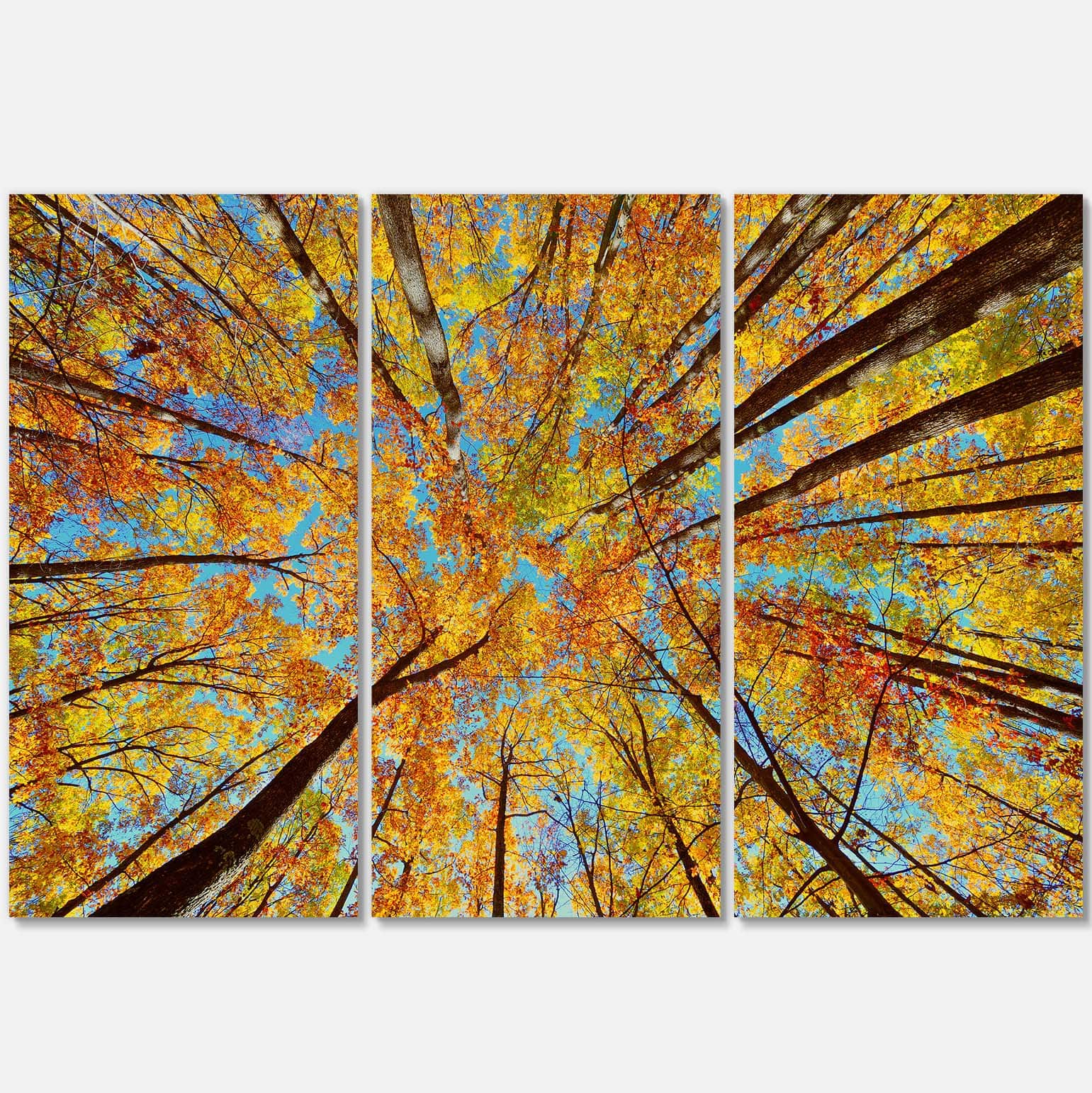 Designart - Tree Tops in Autumn Forest - Forest Canvas Art Print