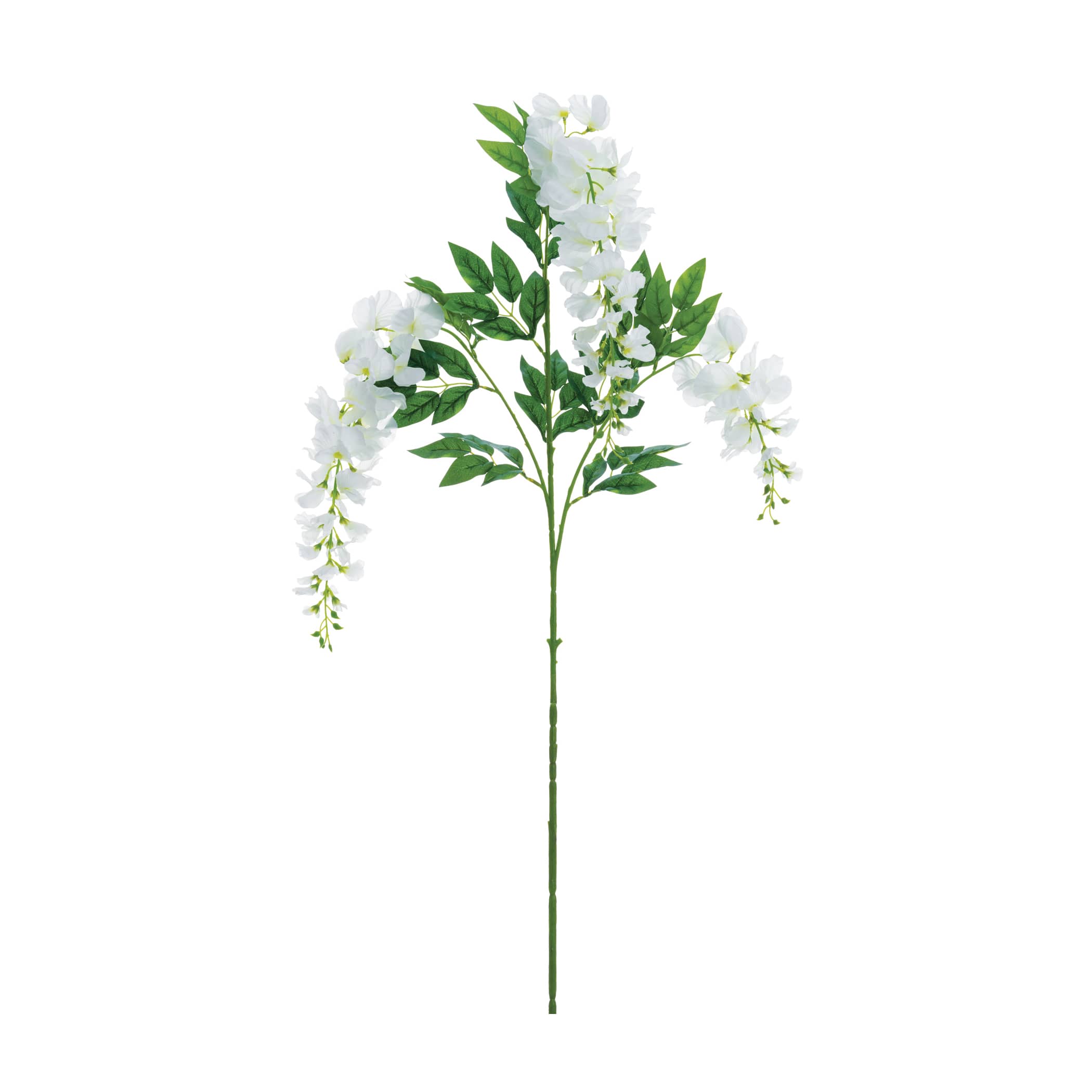 24 Pack: White Wisteria Spray