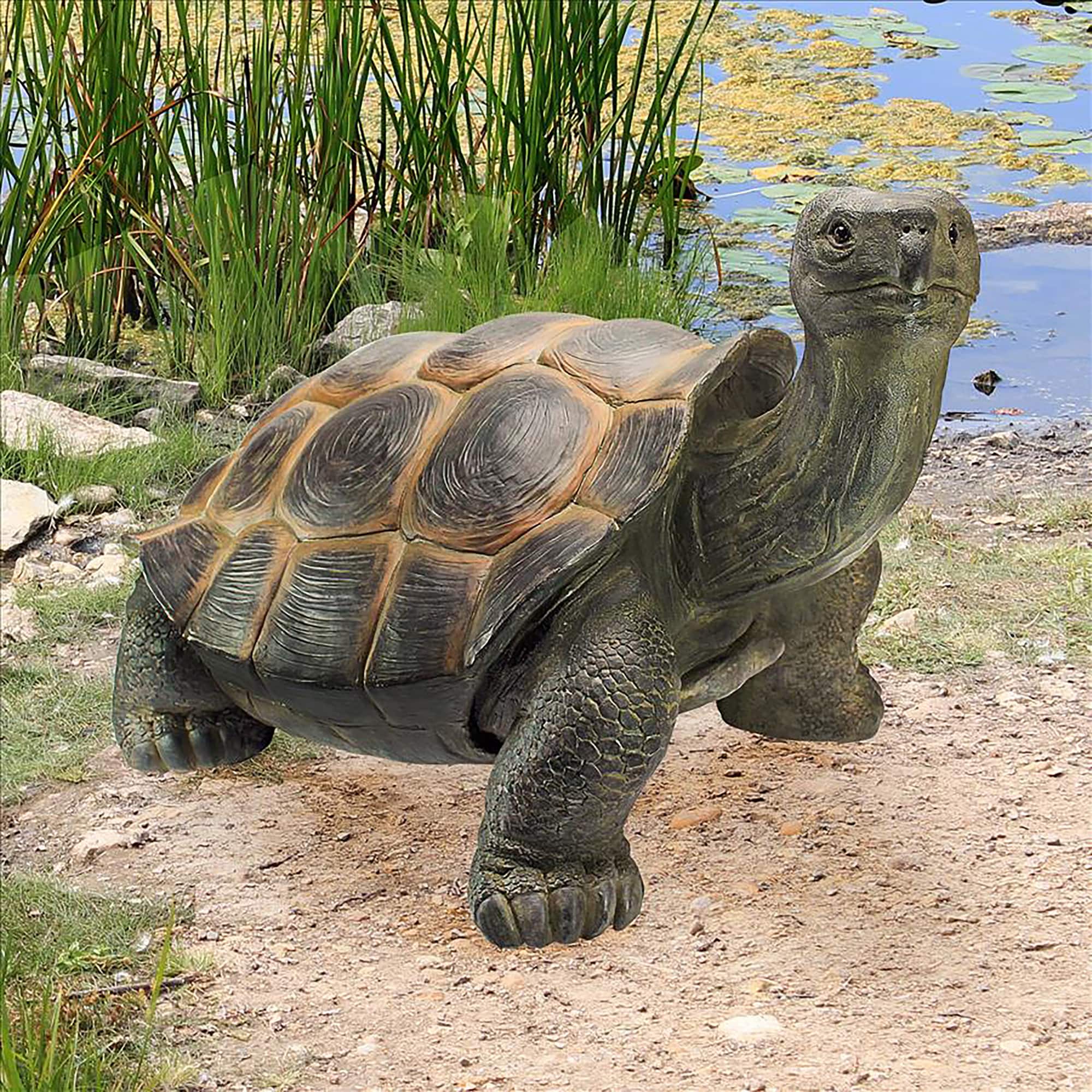 Design Toscano 2.5ft. The Elephant Tortoise Statue