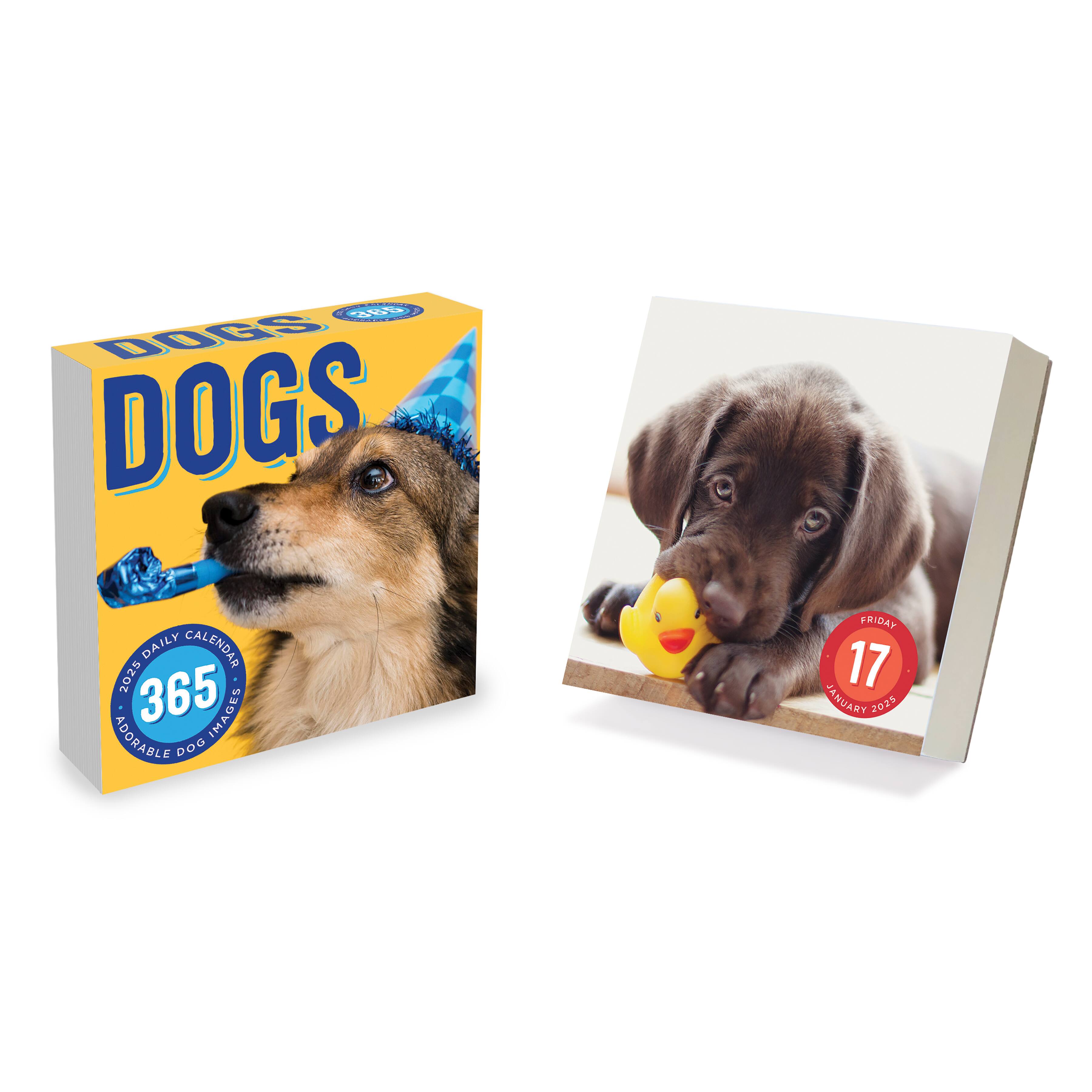 TF Publishing 2025 Dog A Day Daily Desktop Calendar