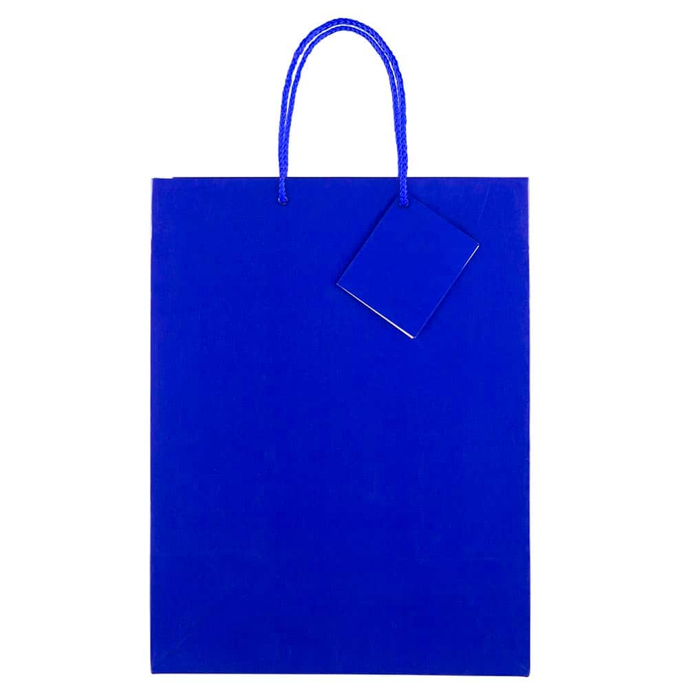 JAM Paper Large Glossy Gift Bags with Rope Handles, 3ct.