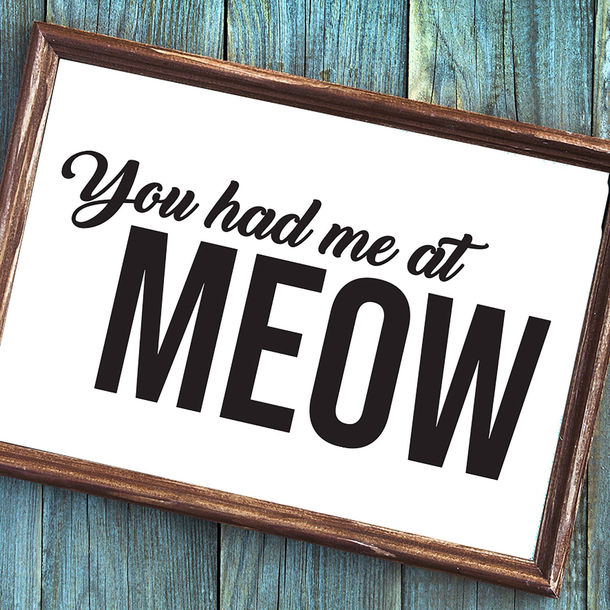Leisure Arts&#xAE; Vinyl Matte Black You Had Me at Meow Decal