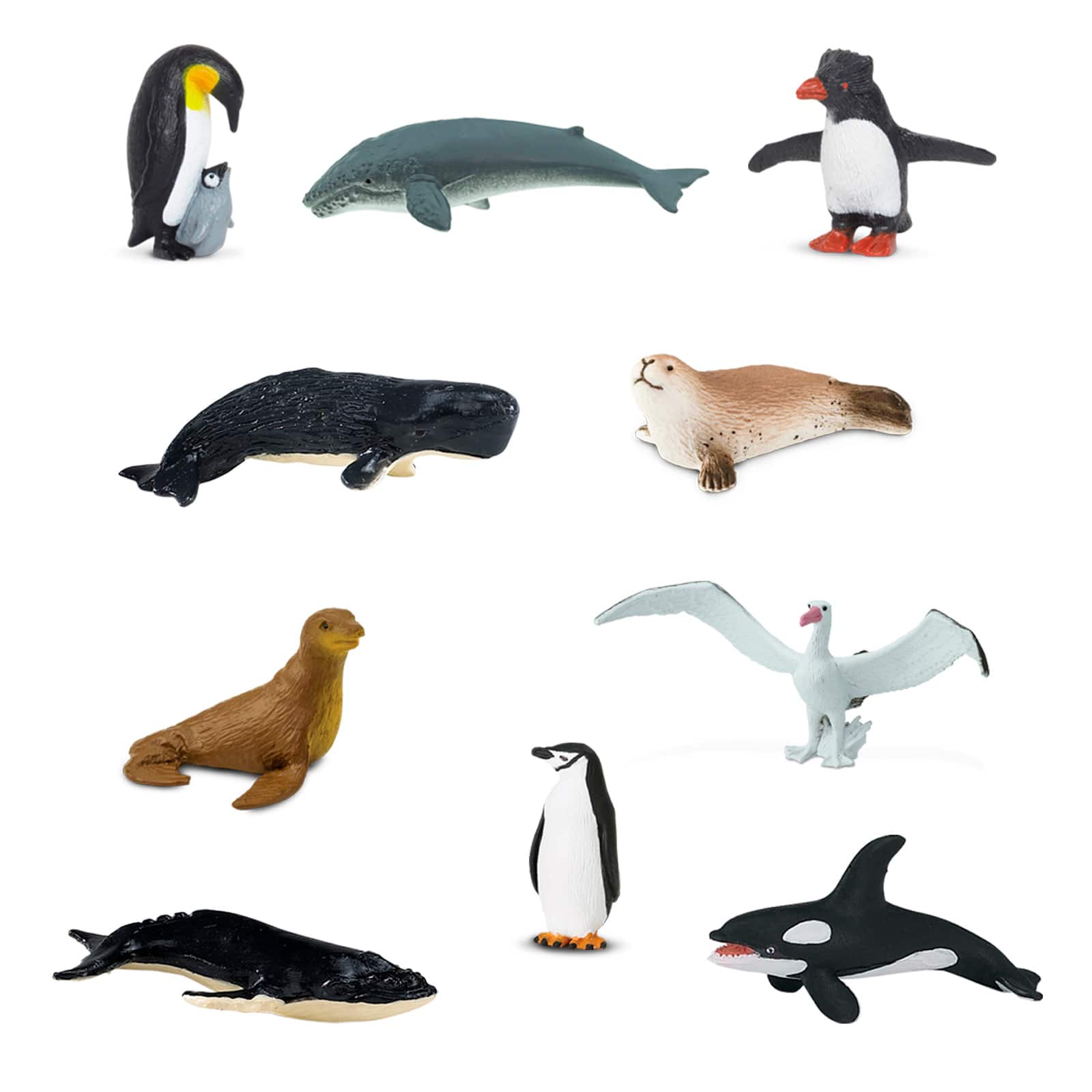 Details about   Safari Ltd Antarctica Wildlife 100113 Toob Mini Replica Figure Toy New 