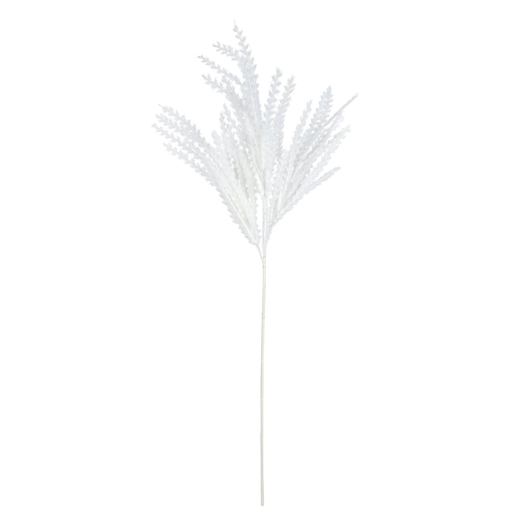 31" White Pampas Grass Stem by Ashland®