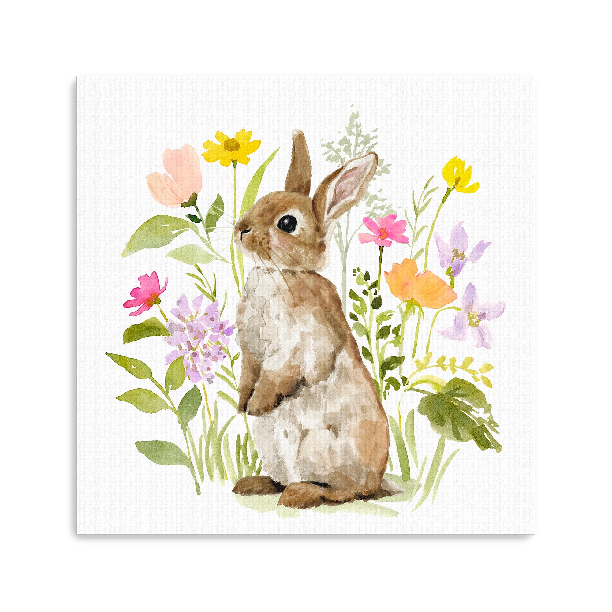 Lumaprints Flower Patch Bunny I Canvas Giclée Art