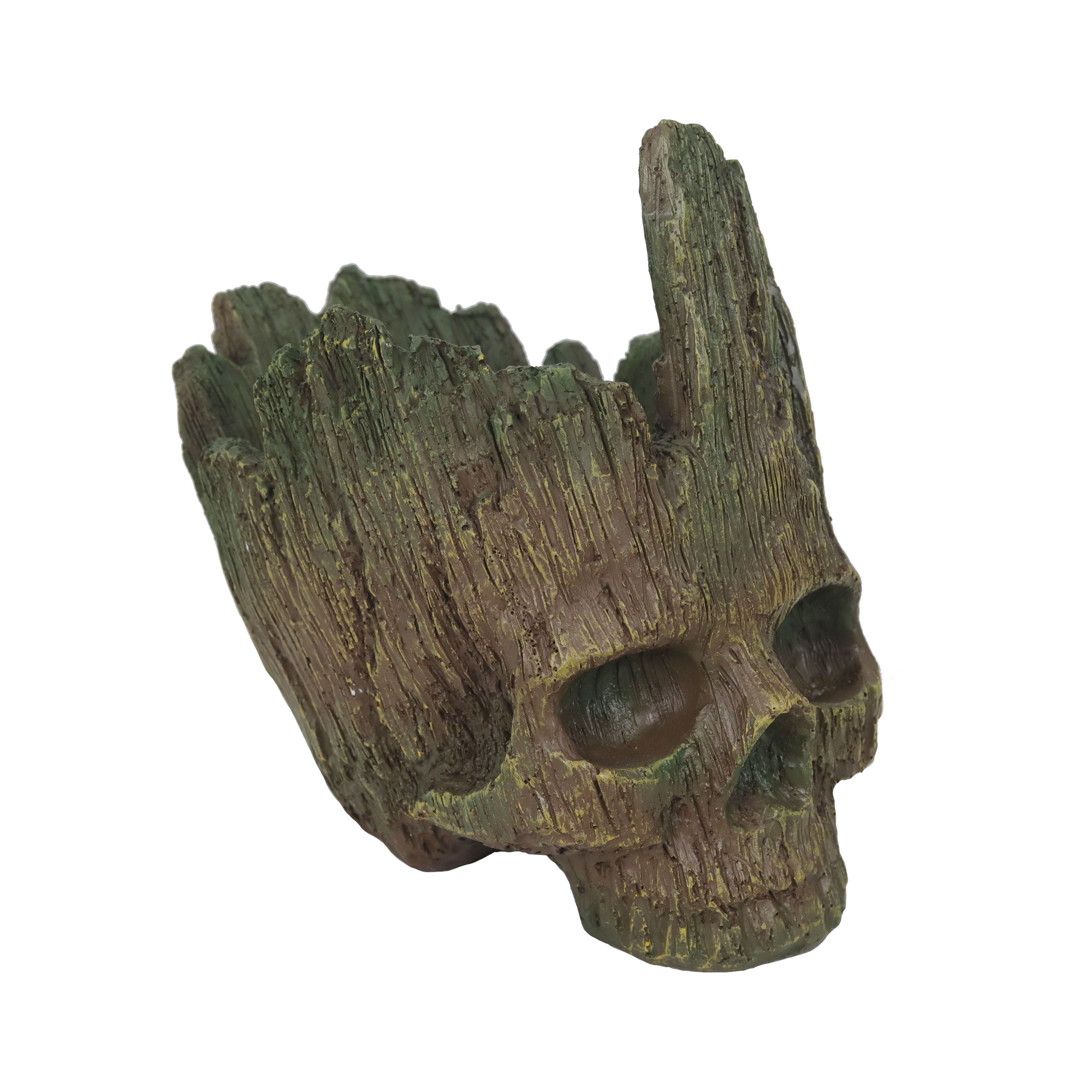 8.75&#x22; Skull Planter by Ashland&#xAE;