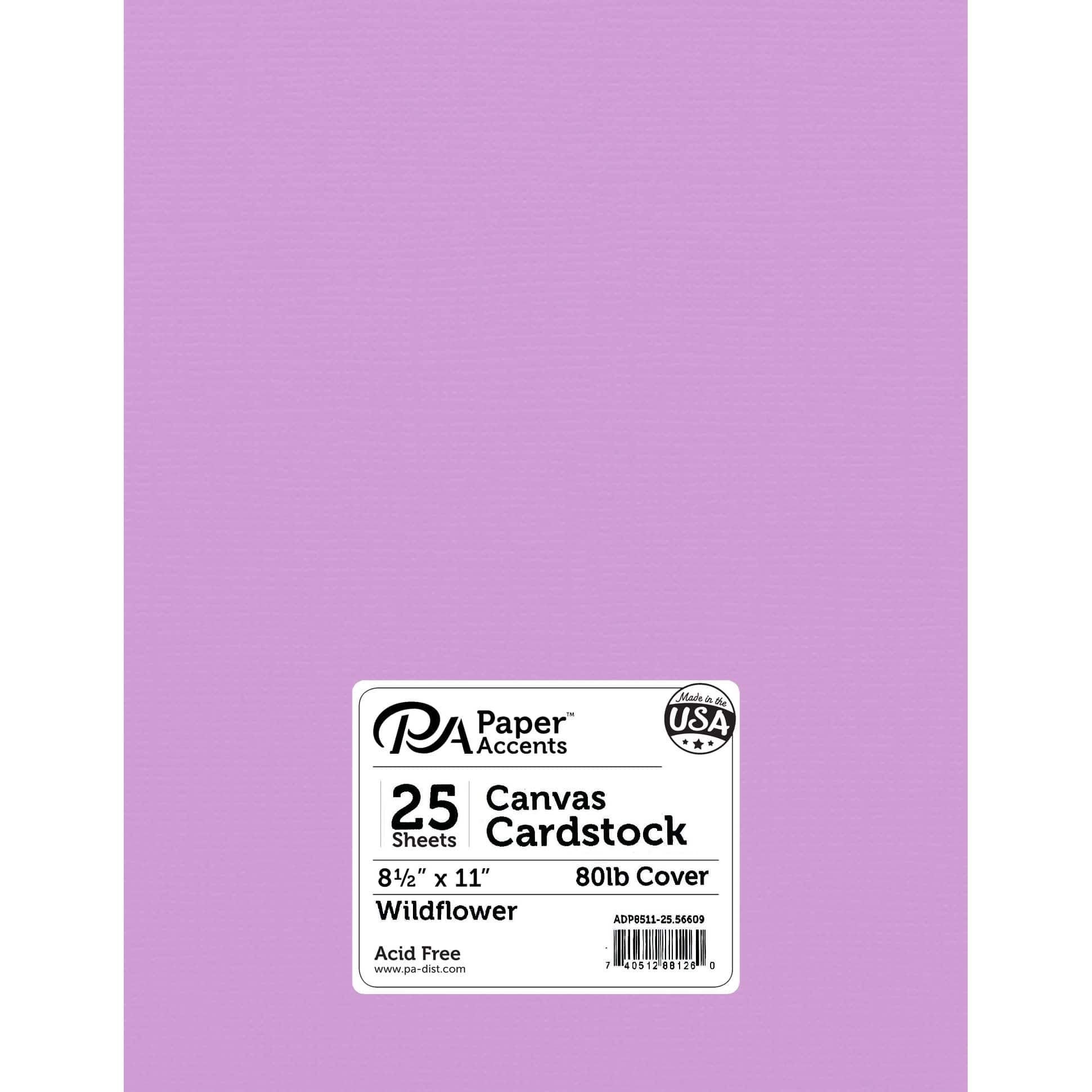 PA Paper™ Accents 8.5 x 11 80lb. Canvas Cardstock Paper, 25 Sheets, Michaels