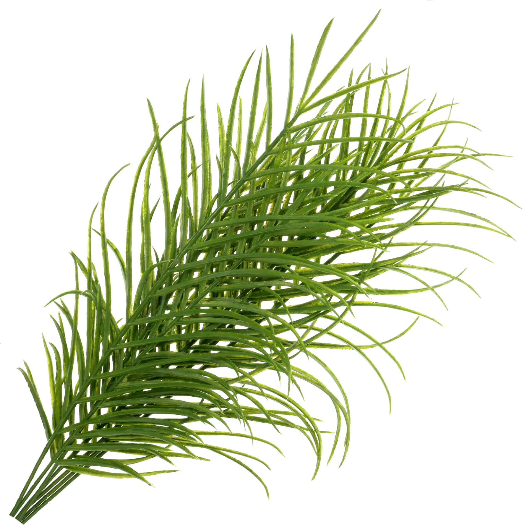 12 Pack: Green Palm Plant Bush by Ashland&#xAE;