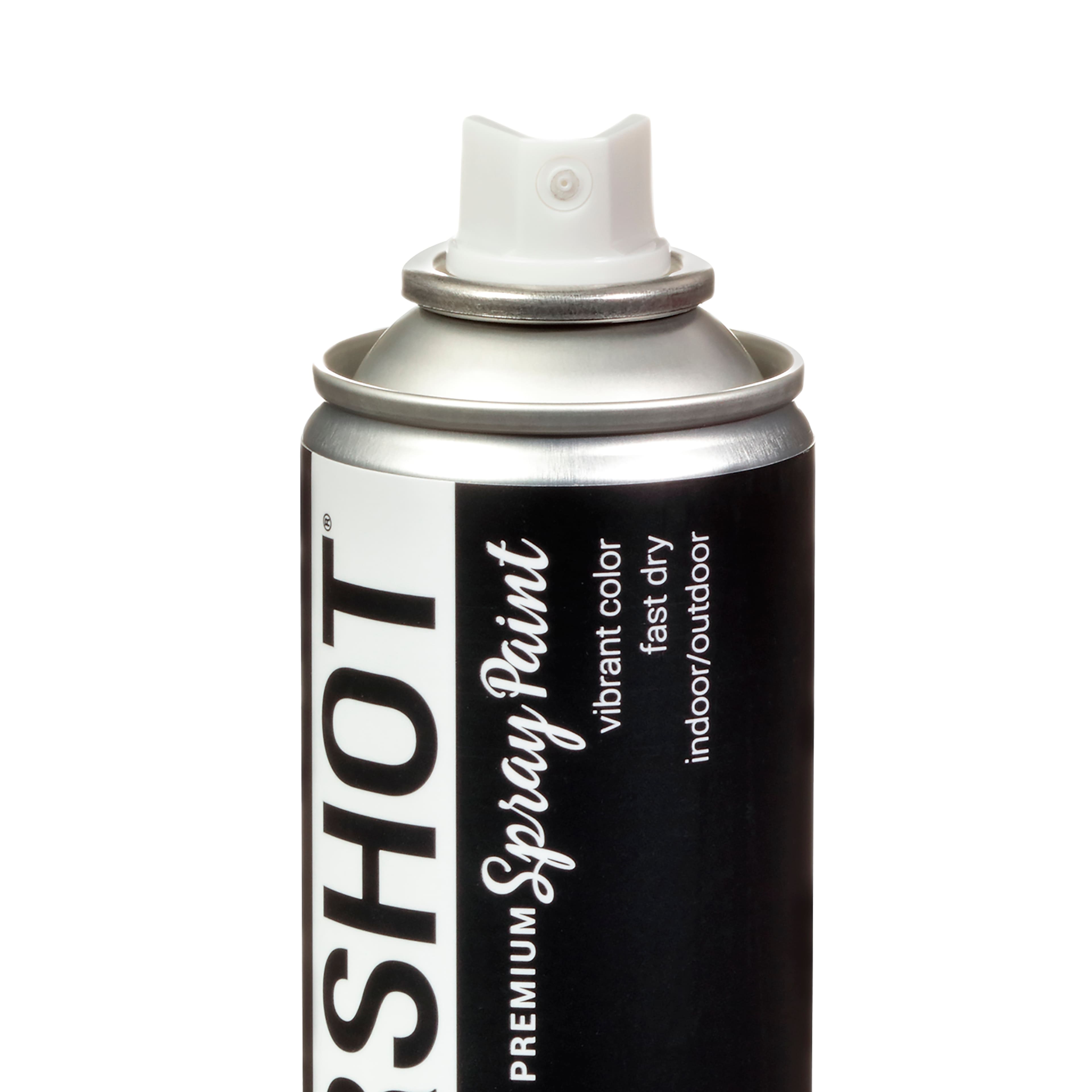 COLORSHOT&#xAE; Blackout Matte Spray Paint