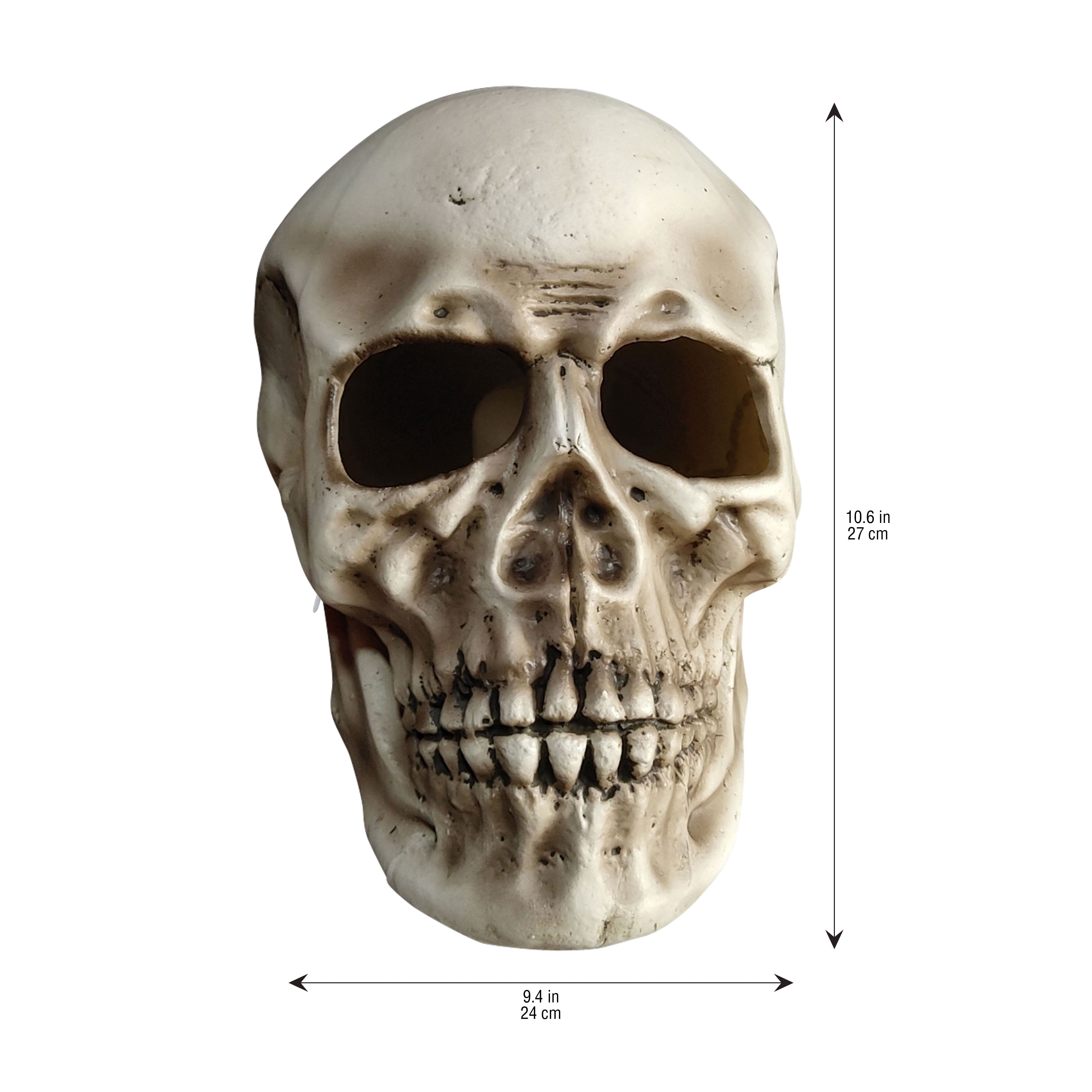 10.5&#x22; LED Skull by Ashland&#xAE;