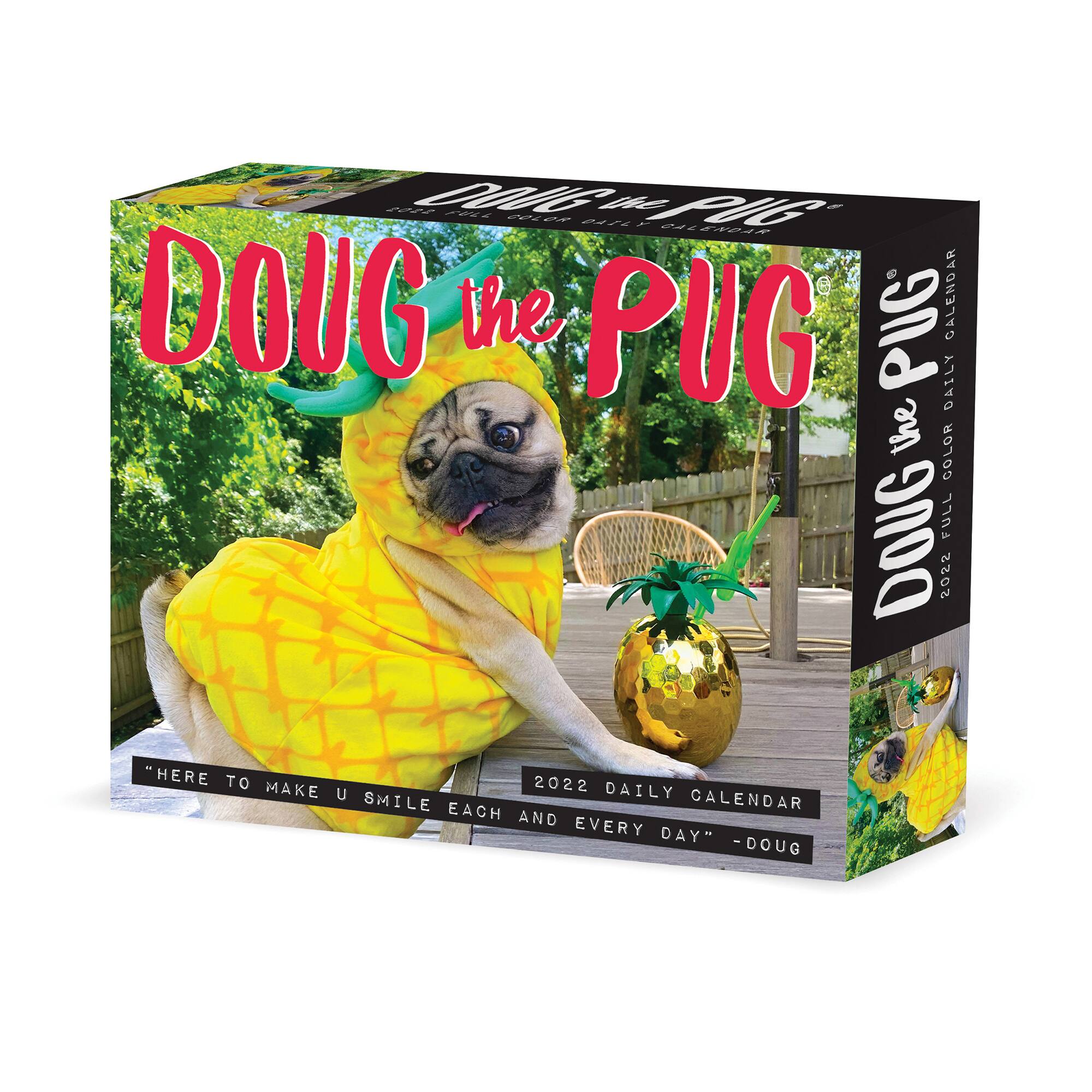 2022 Doug the Pug Daily Desk Calendar By Ek | Michaels®