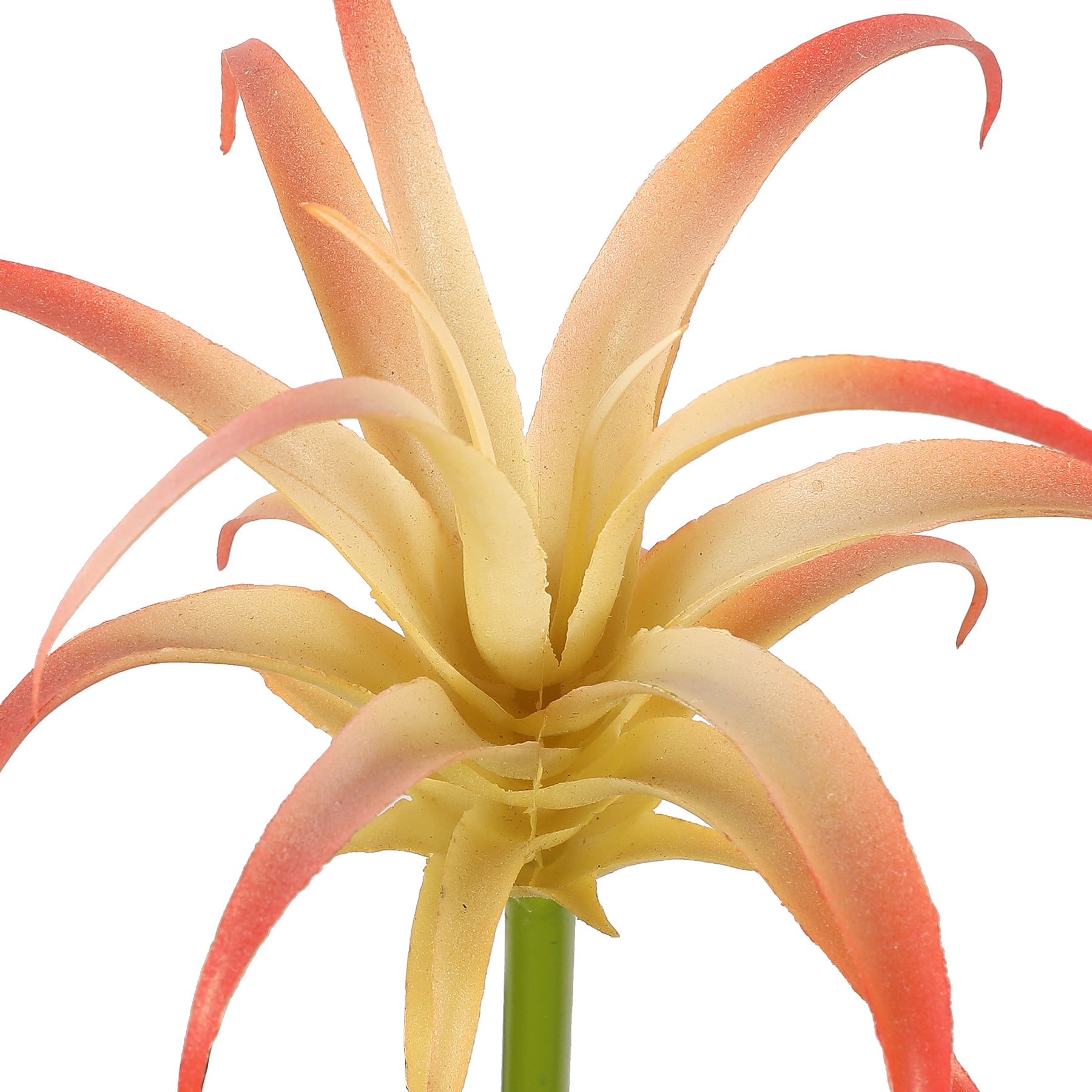 Assorted 7&#x22; Tillandsia Pick by Ashland&#xAE;