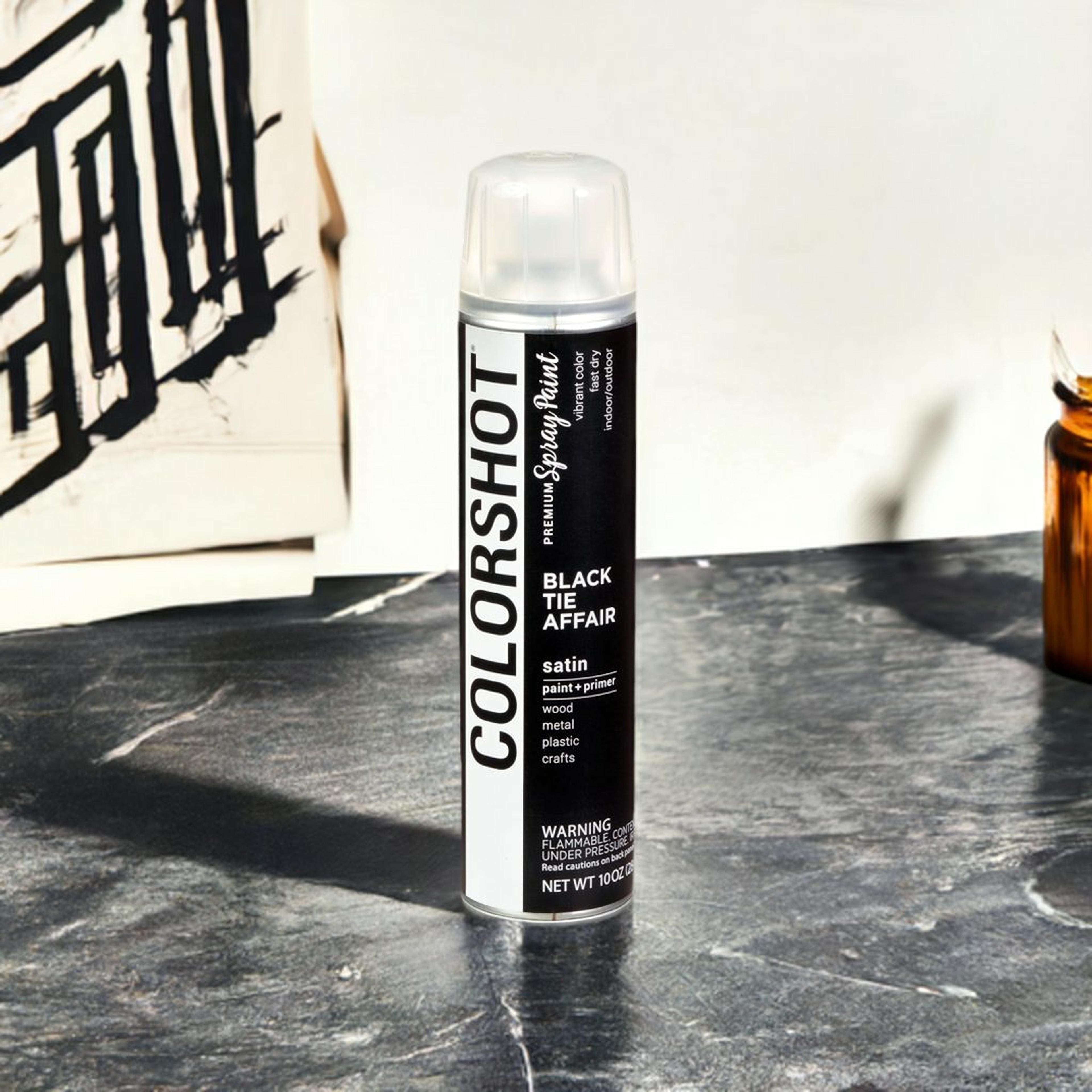 COLORSHOT&#xAE; Premium Satin Spray Paint