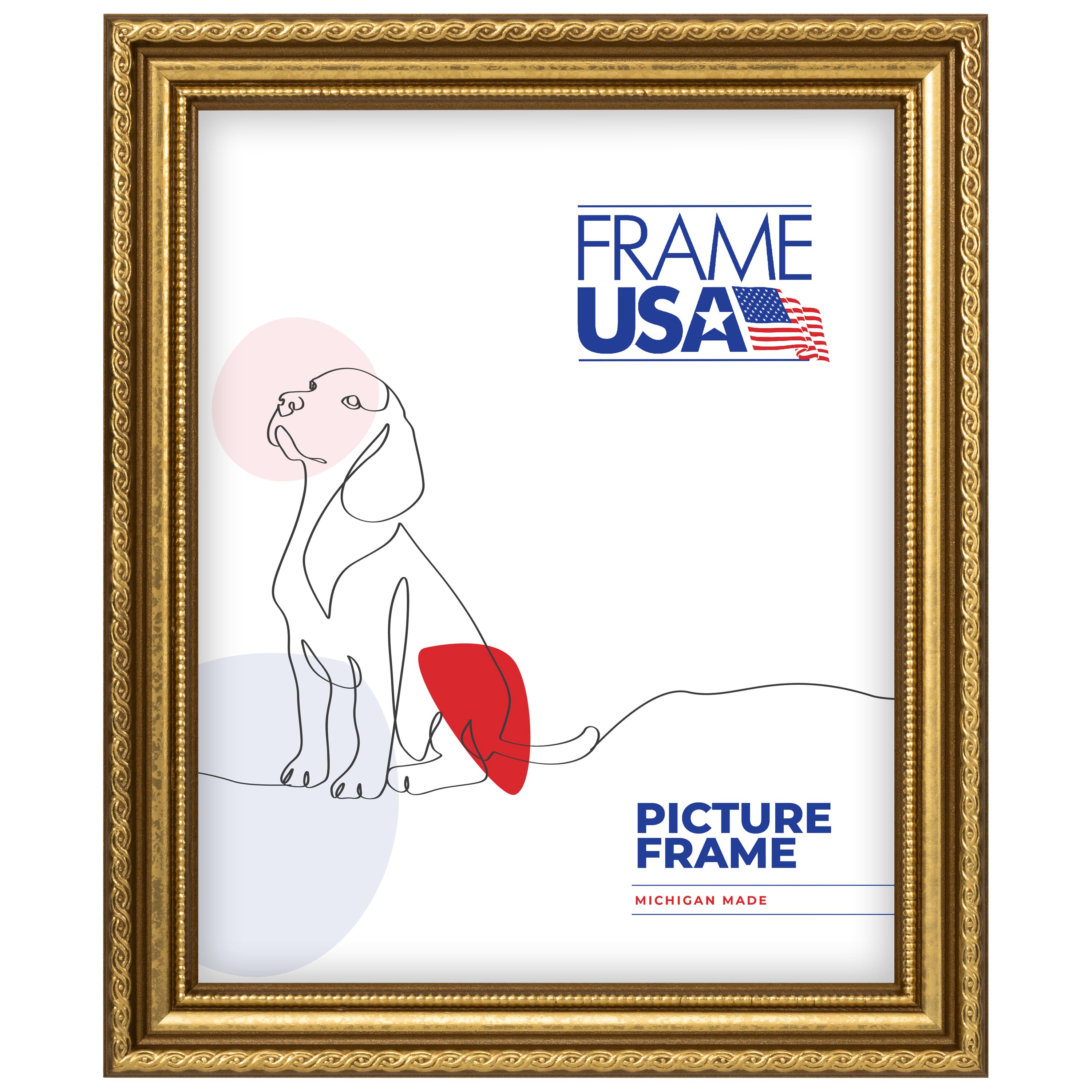 Frame USA American Value Medium Gold Single Image Picture Frame