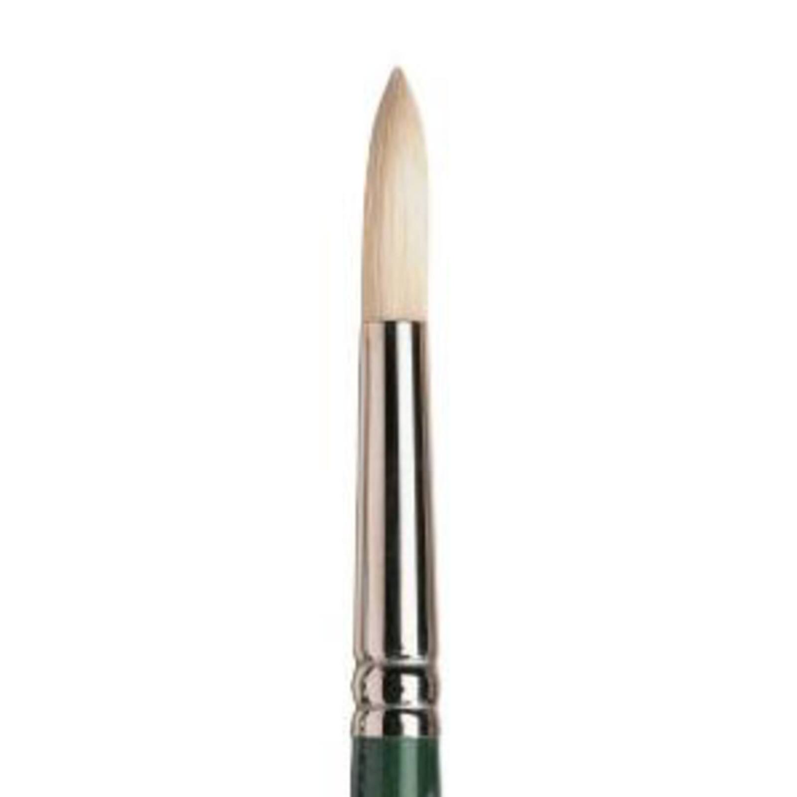 Winsor &#x26; Newton&#x2122; Winton Long Handle Round Brush