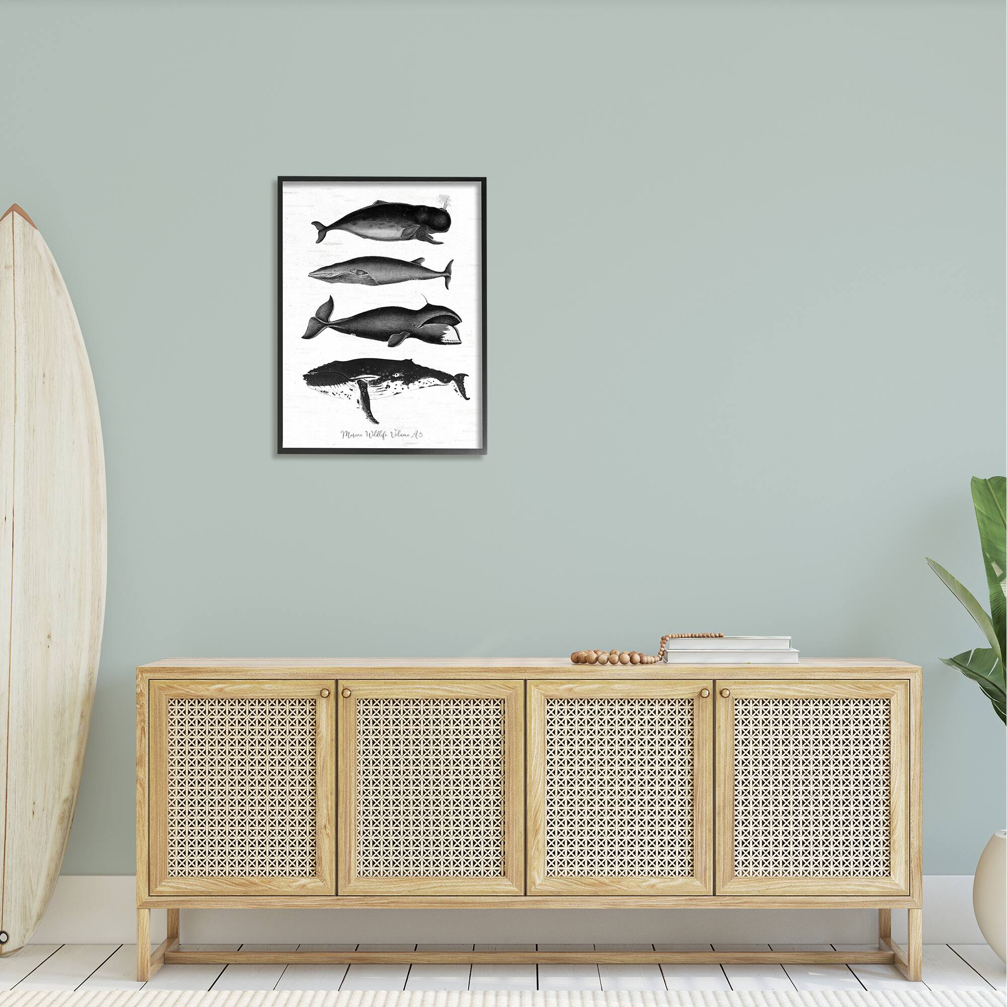 Stupell Industries Marine Wildlife Whales Drawings Diagram Framed Giclee Art